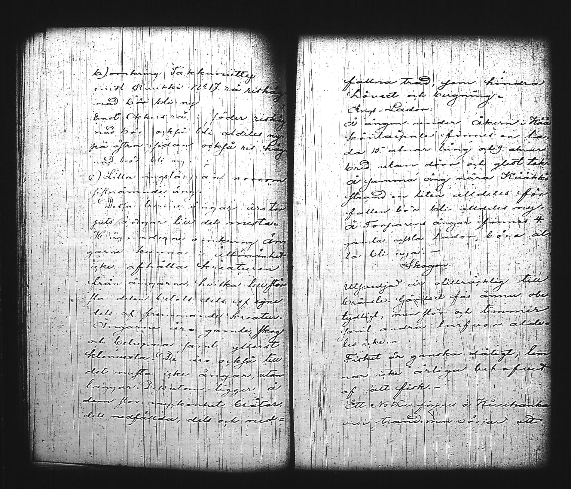 [ kuvat/195.jpg ]
