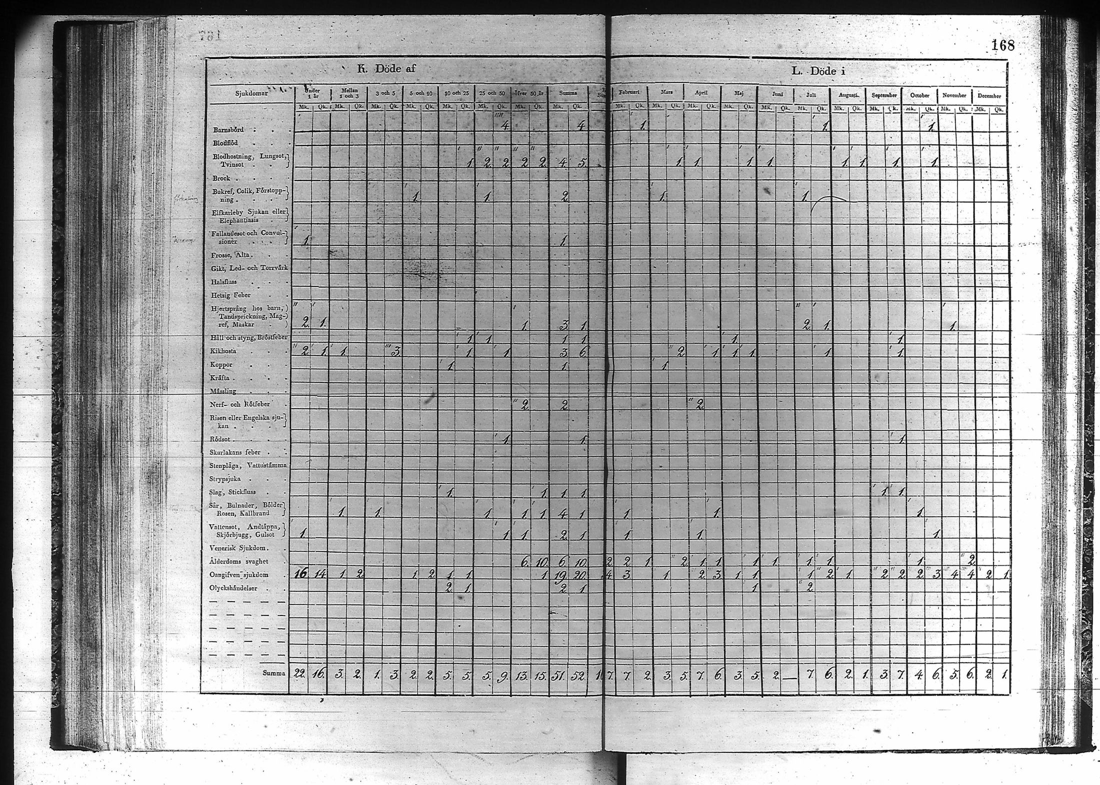 [ kuvat/169.jpg ]