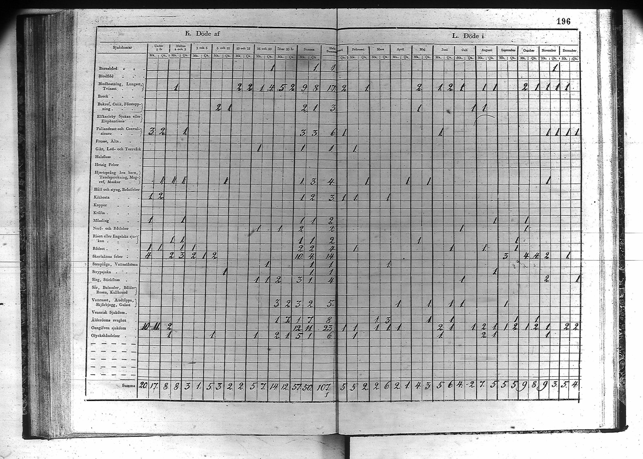 [ kuvat/197.jpg ]