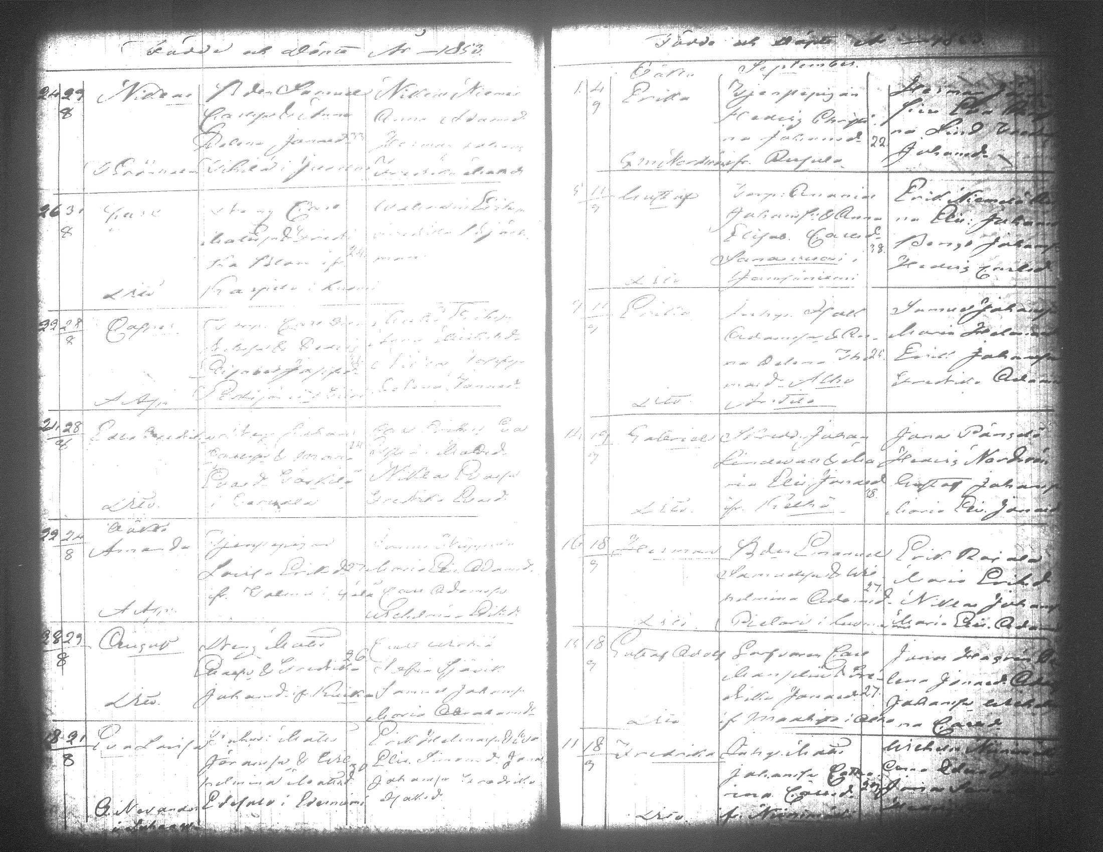 [ kuvat/381.jpg ]