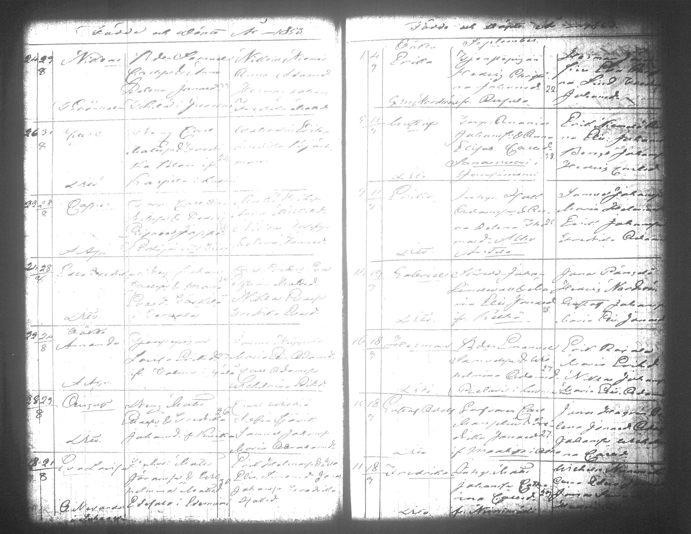 [ kuvat/385.jpg ]