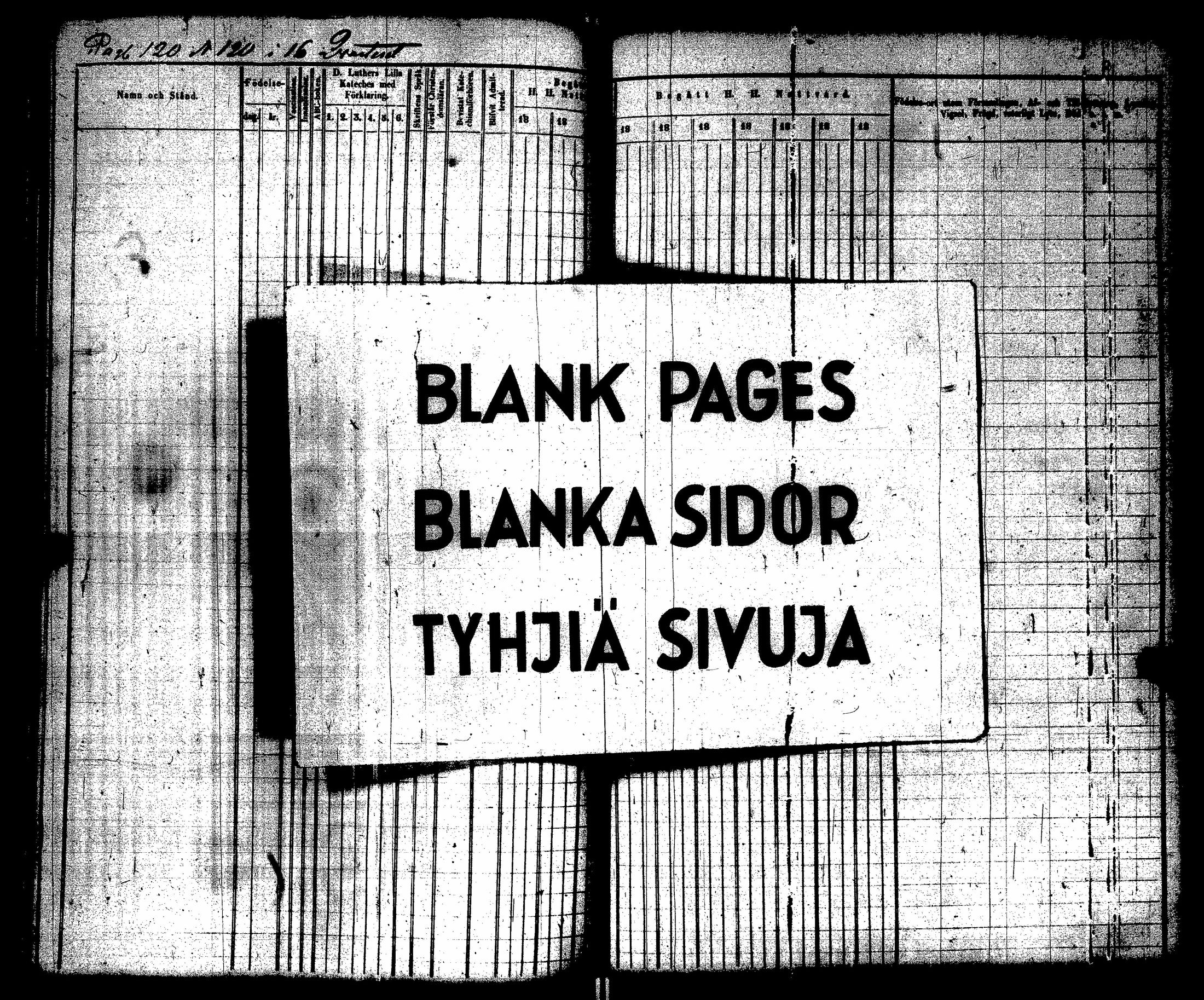 [ kuvat/125.jpg ]