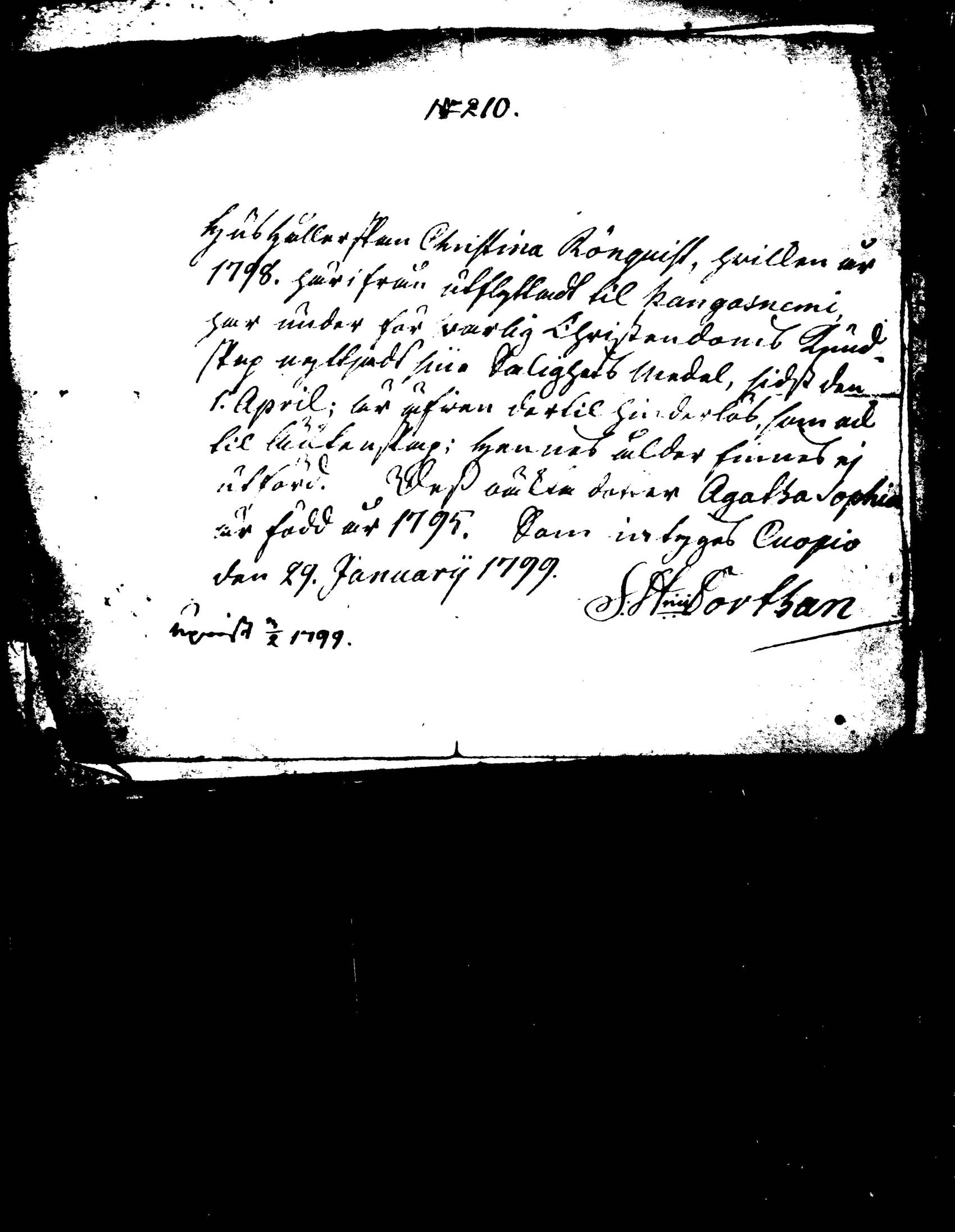 [ kuvat/242.jpg ]