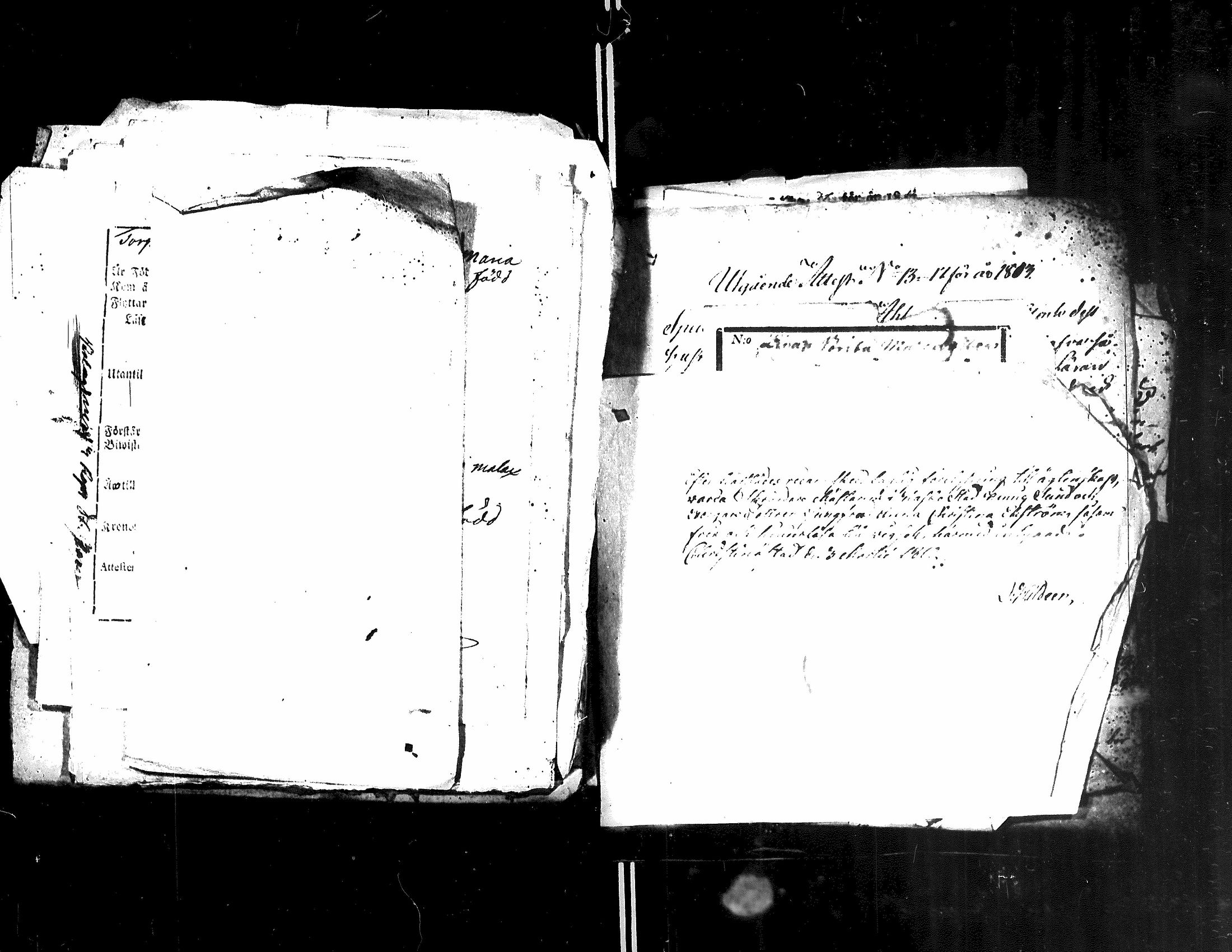 [ kuvat/191.jpg ]