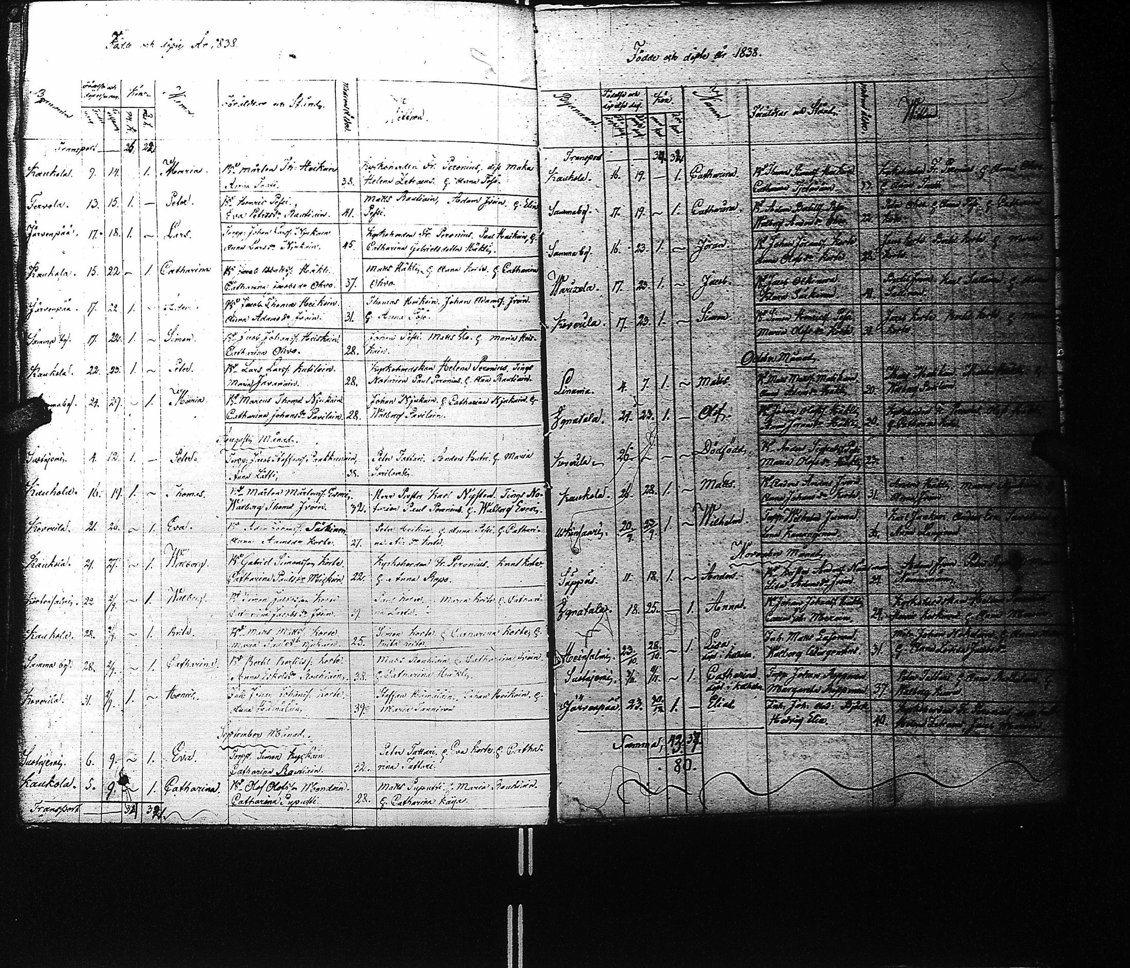 [ kuvat/124.jpg ]