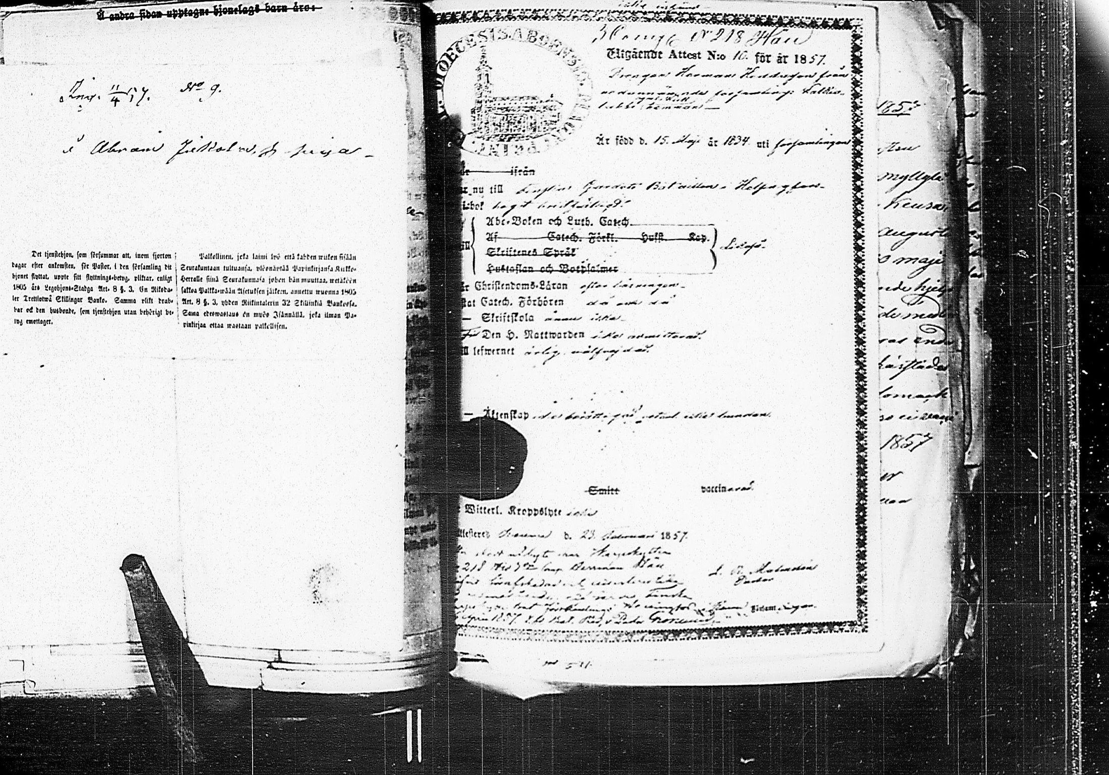 [ kuvat/165.jpg ]