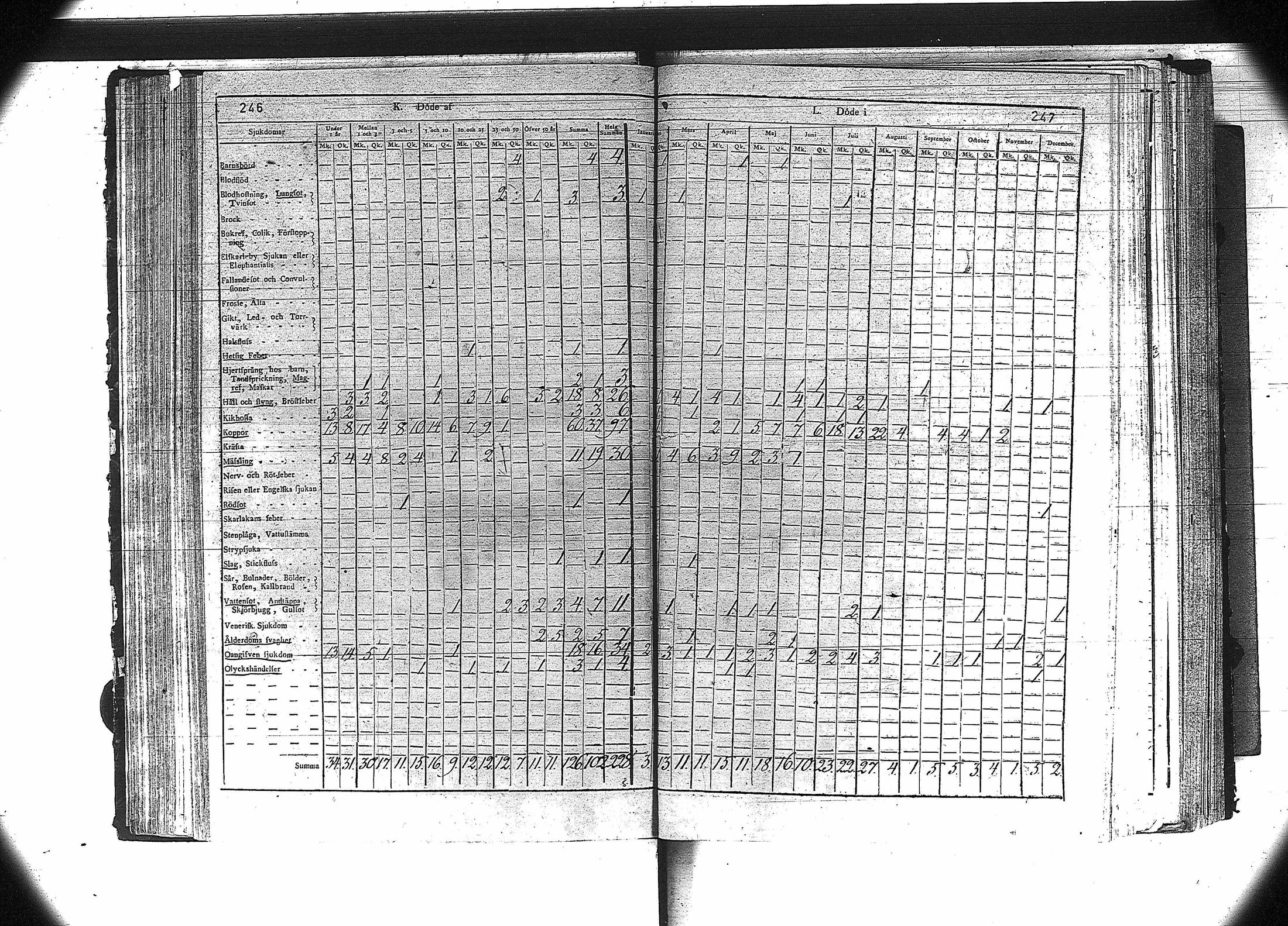 [ kuvat/125.jpg ]