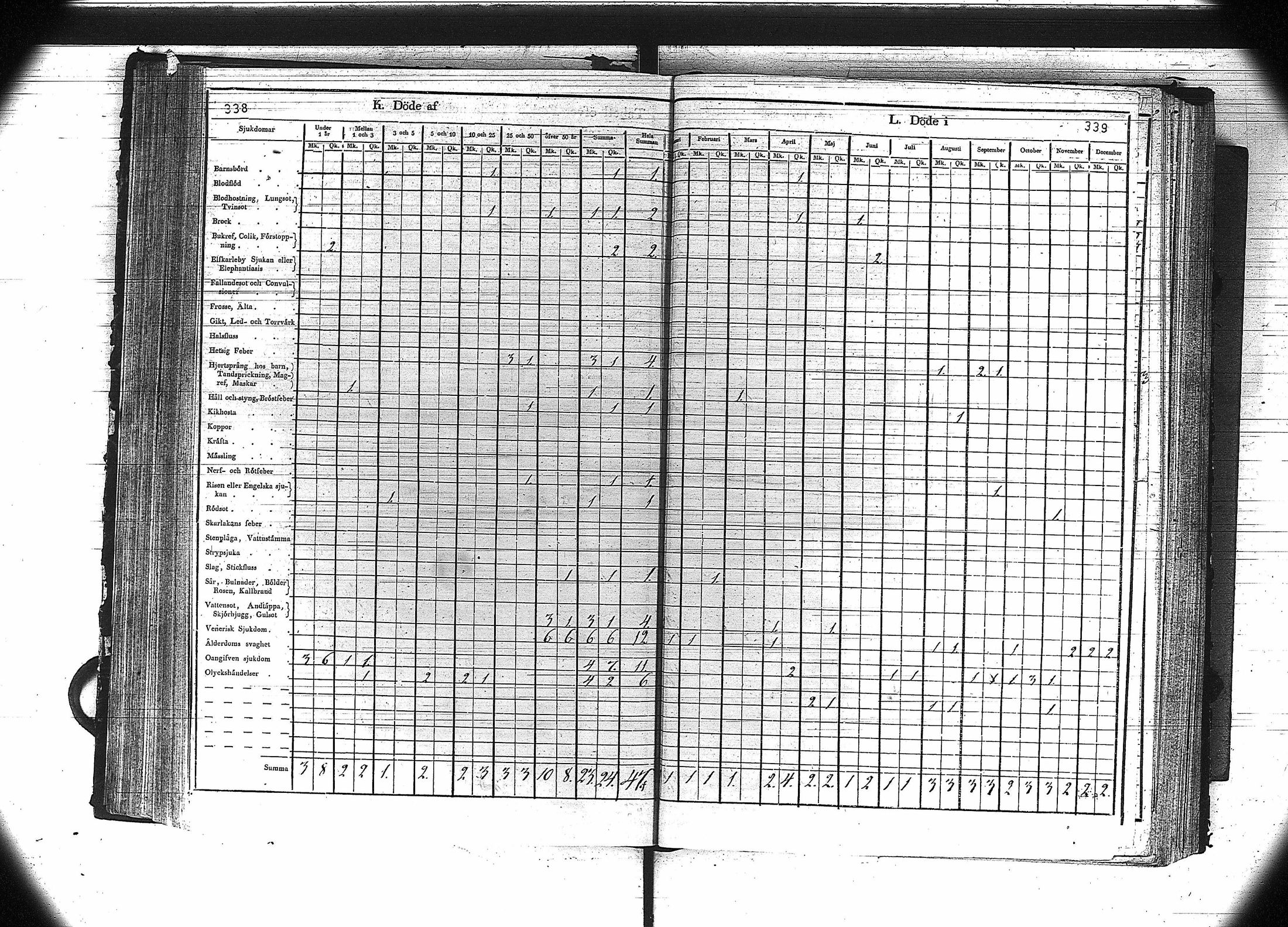[ kuvat/171.jpg ]