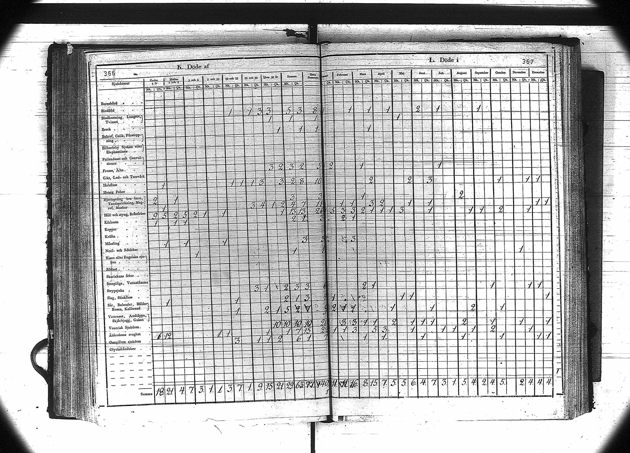 [ kuvat/185.jpg ]