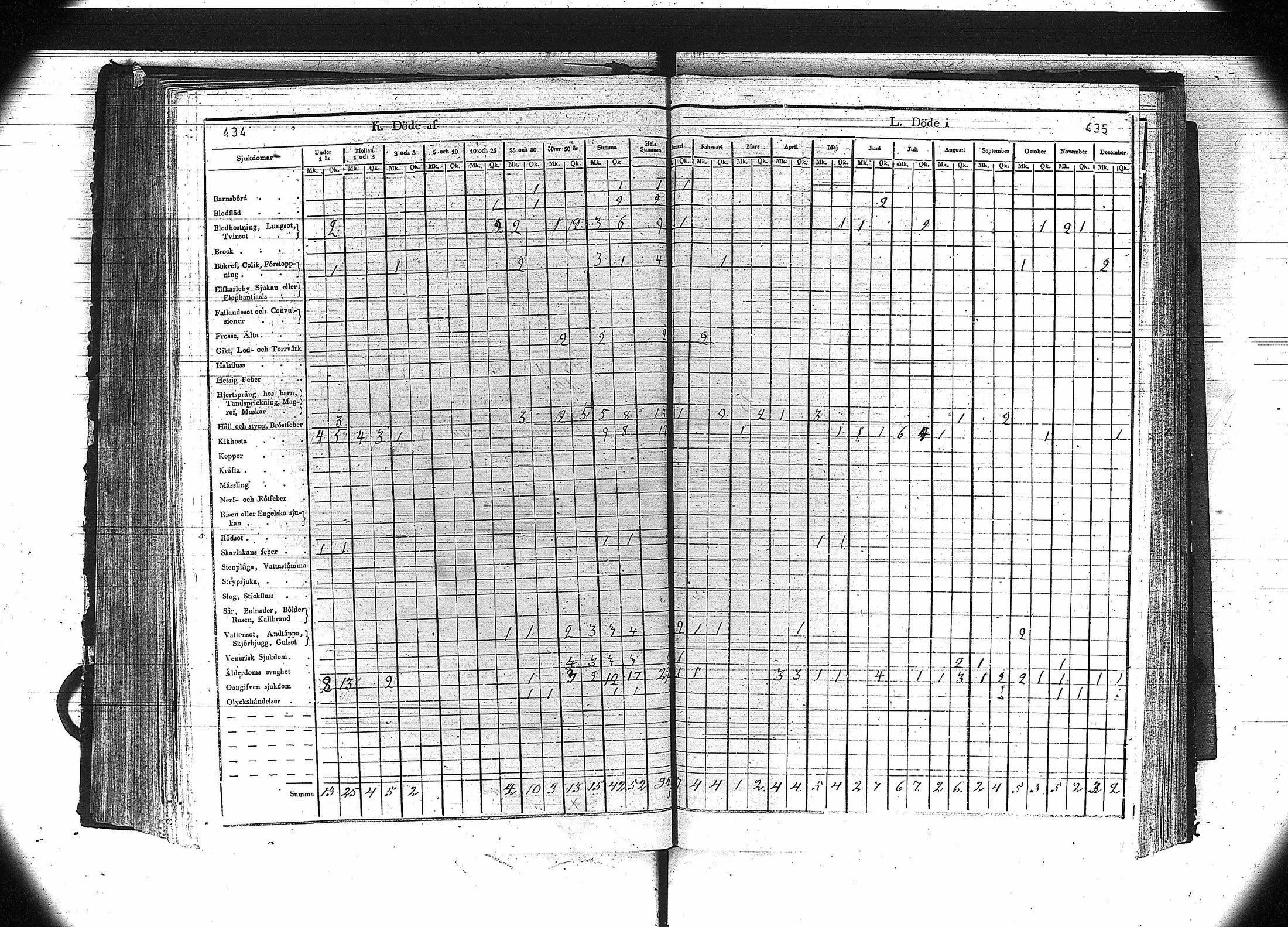 [ kuvat/219.jpg ]