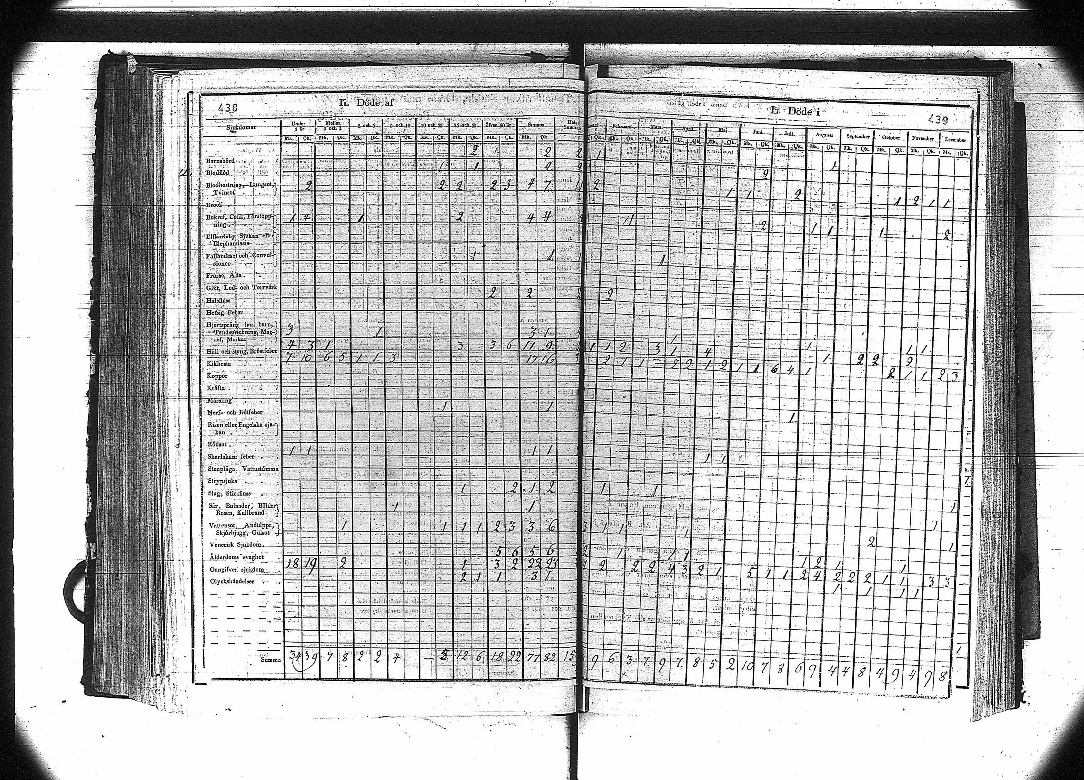 [ kuvat/221.jpg ]