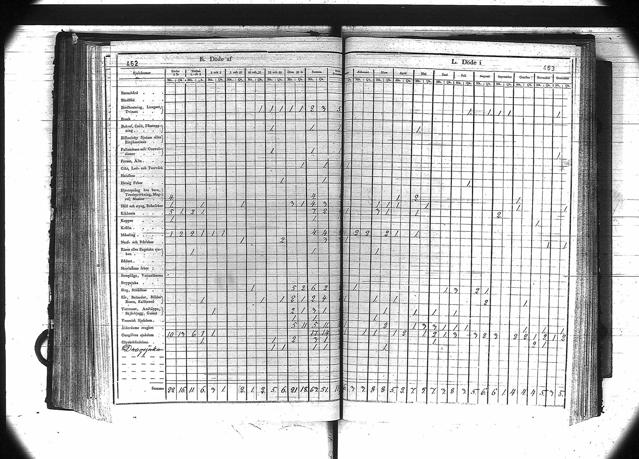 [ kuvat/233.jpg ]