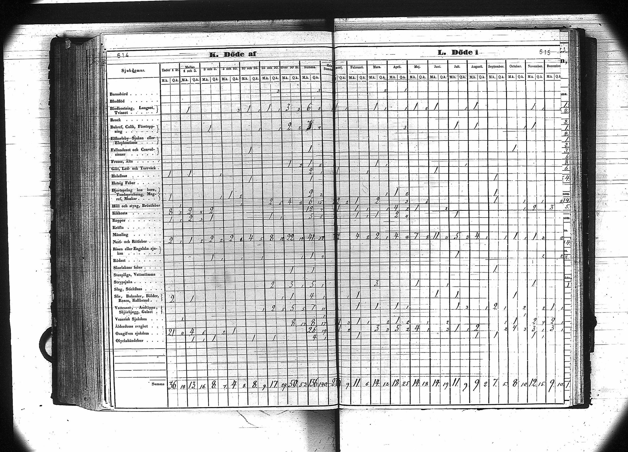 [ kuvat/309.jpg ]