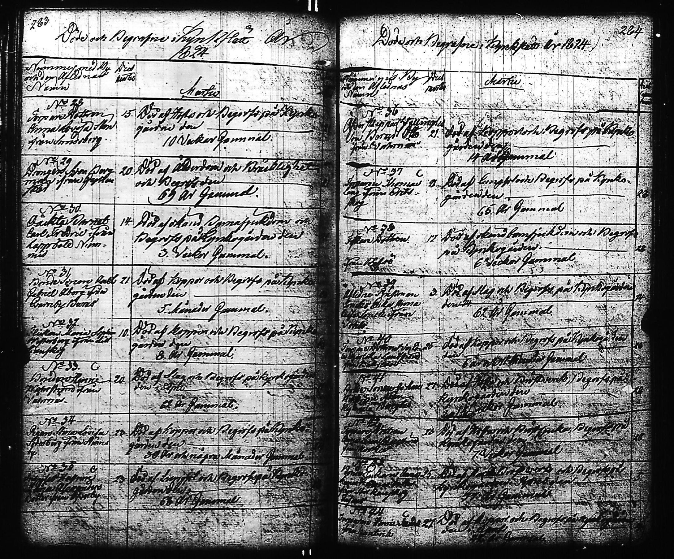 [ kuvat/145.jpg ]