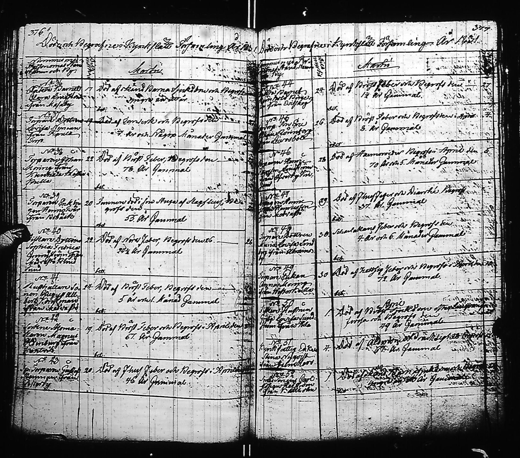 [ kuvat/193.jpg ]