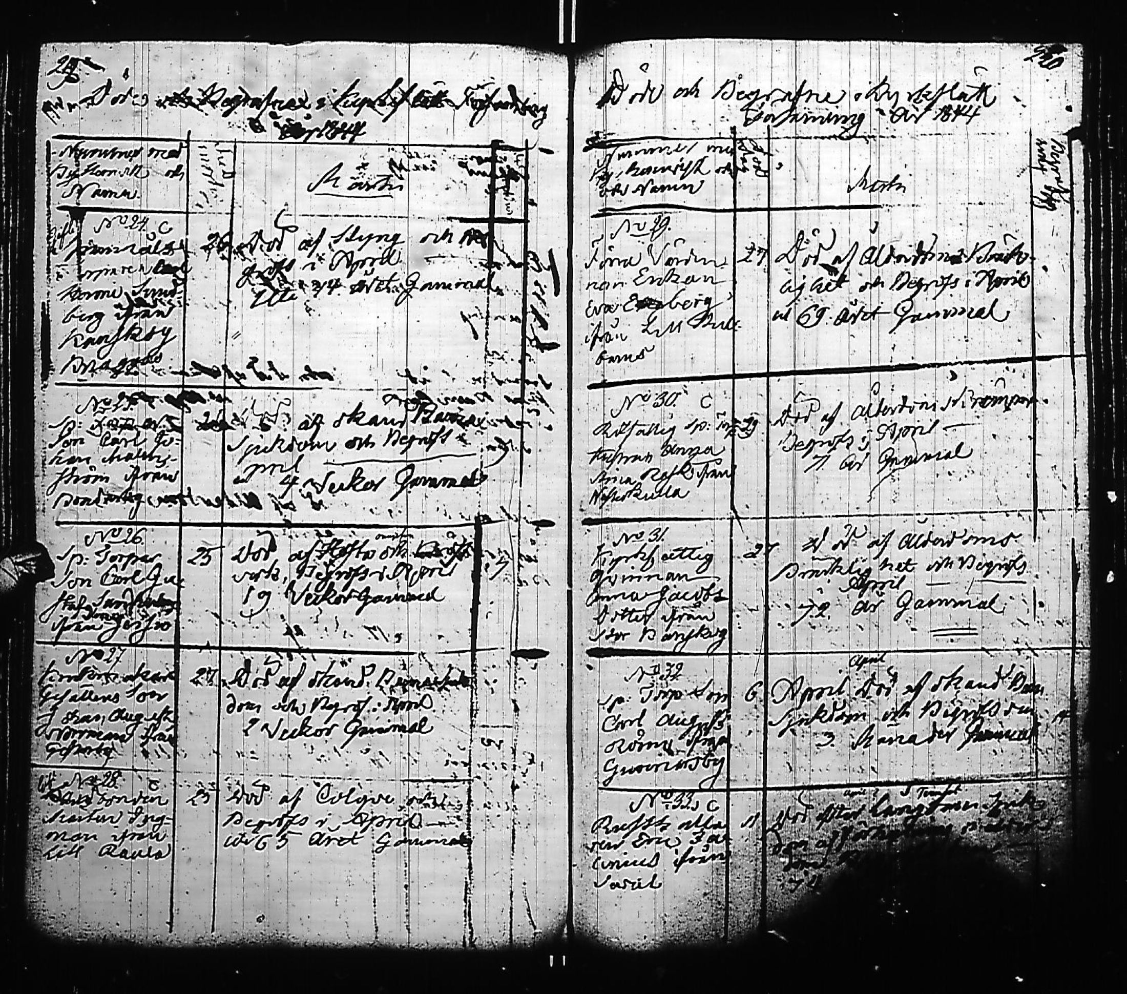 [ kuvat/310.jpg ]