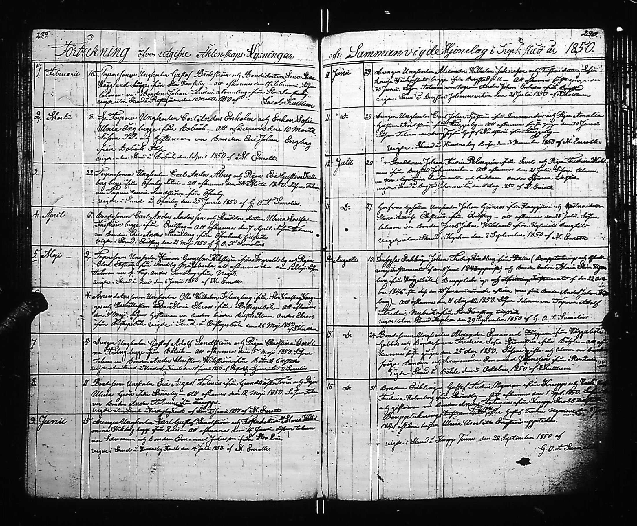 [ kuvat/154.jpg ]