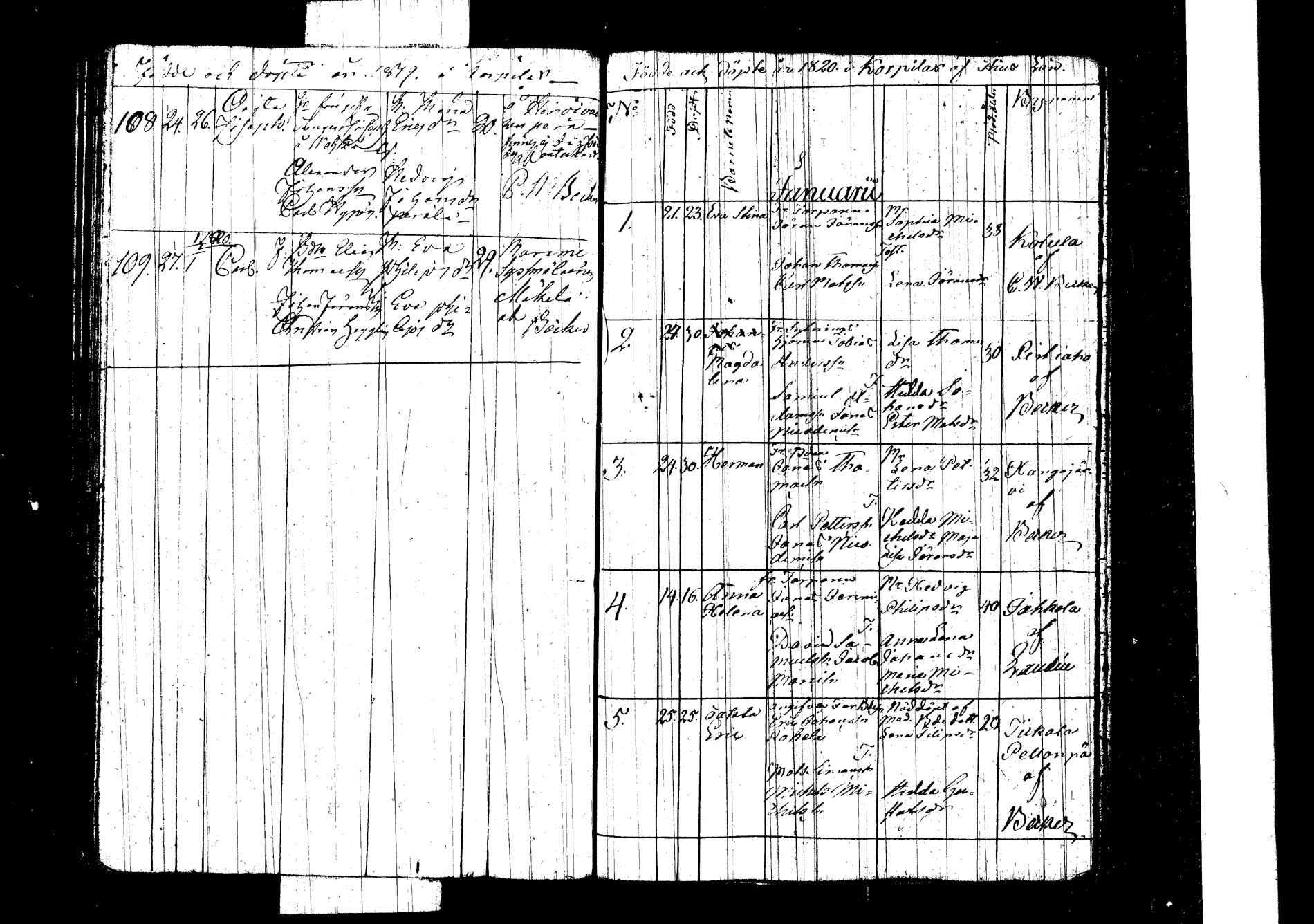 [ kuvat/125.jpg ]