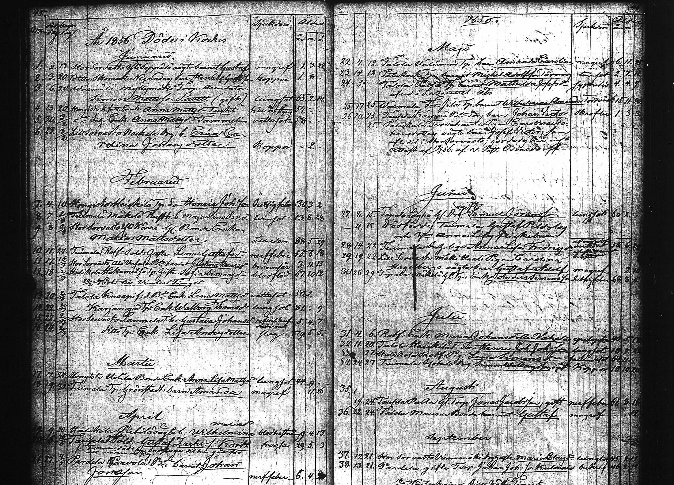 [ kuvat/25.jpg ]
