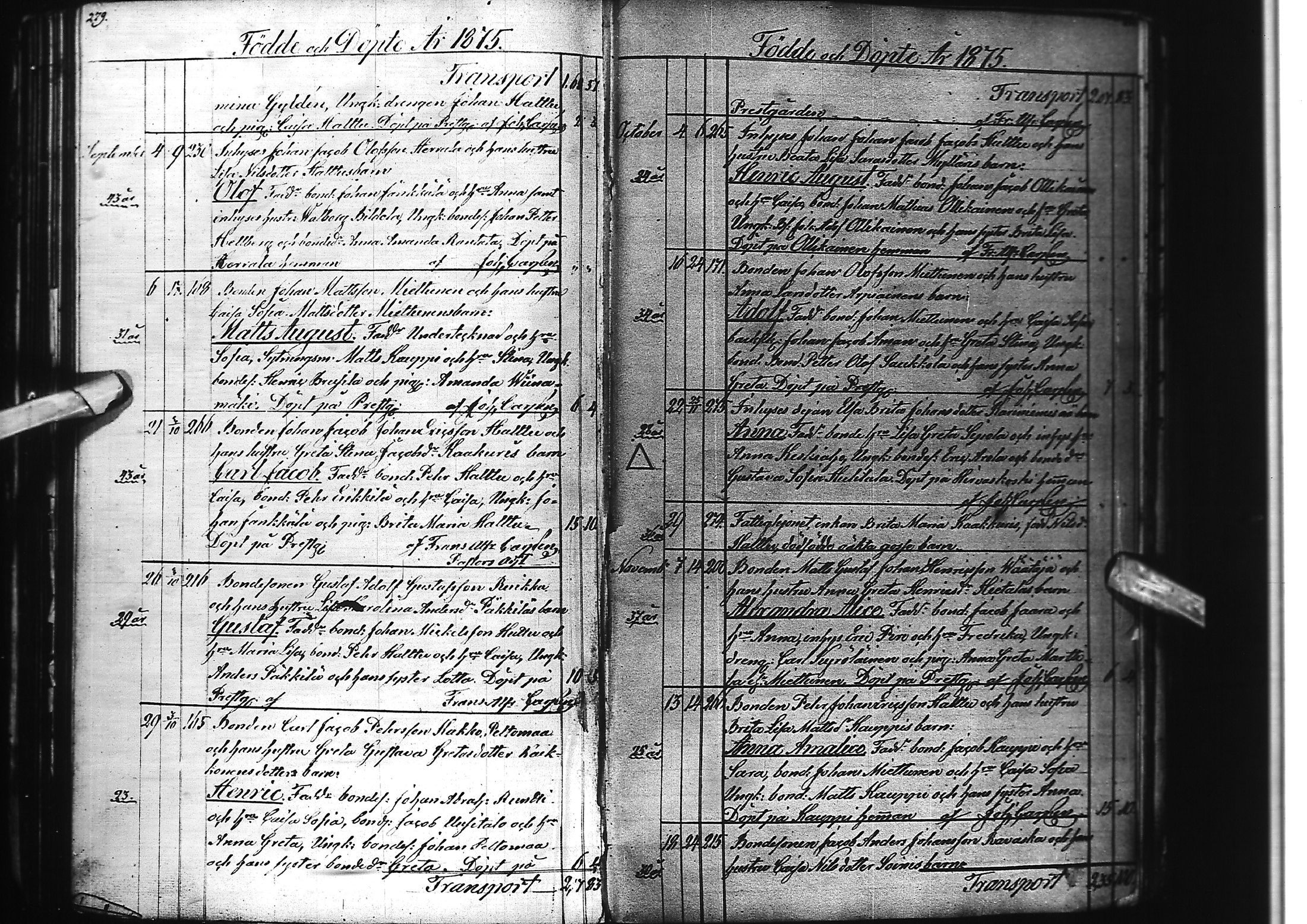 [ kuvat/145.jpg ]