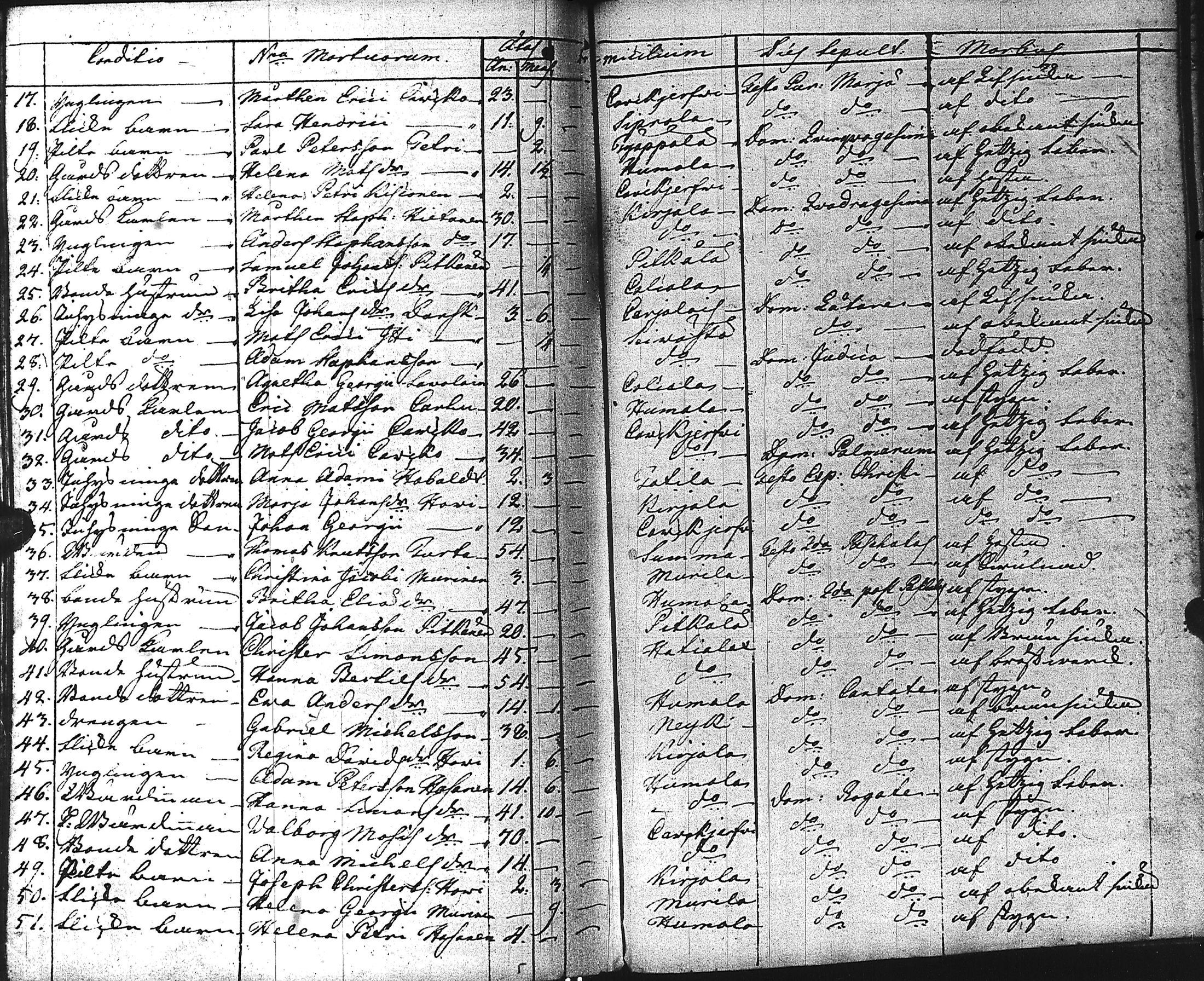 [ kuvat/203.jpg ]