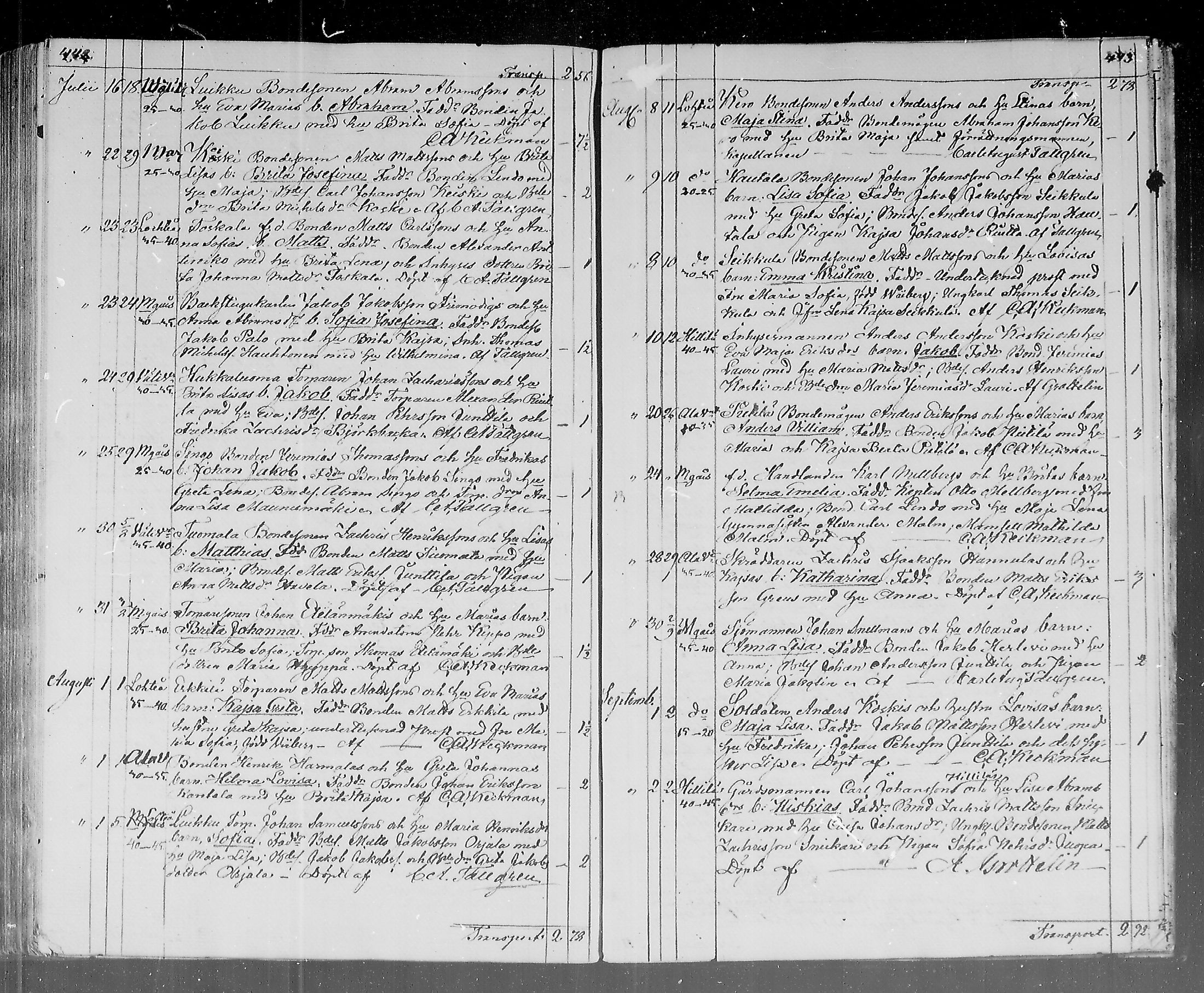 [ kuvat/229.jpg ]