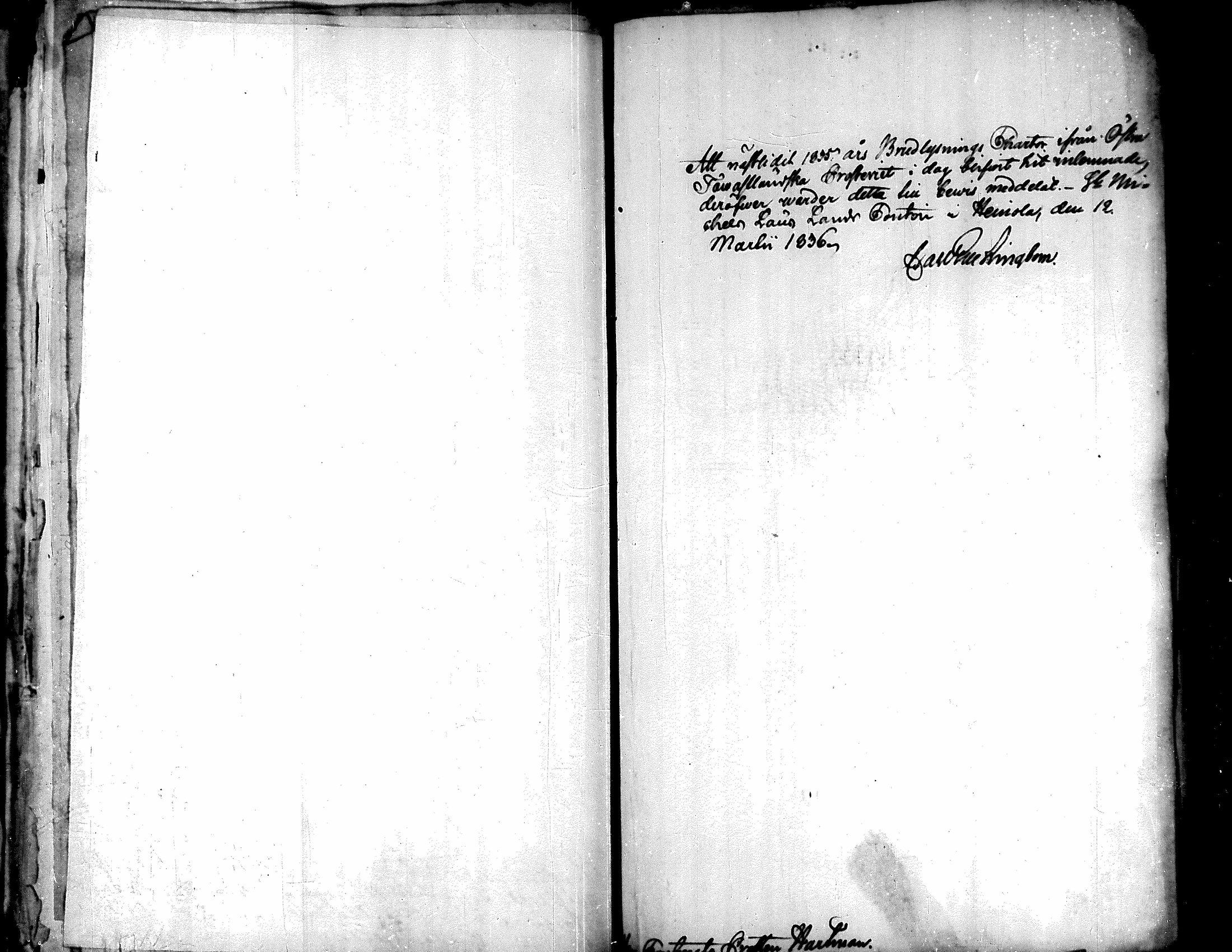 [ kuvat/89.jpg ]