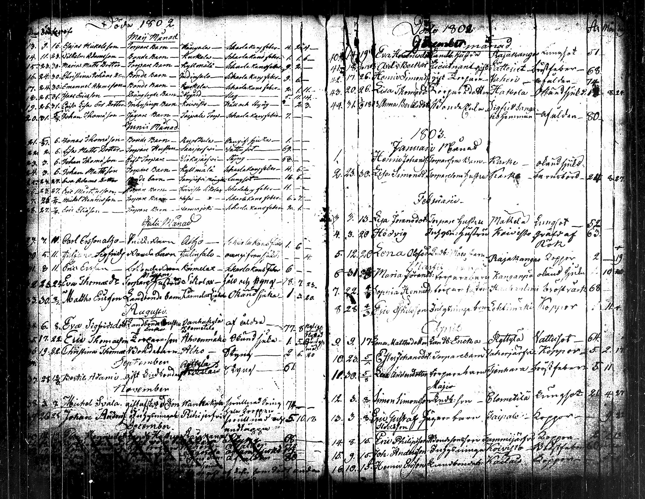 [ kuvat/125.jpg ]
