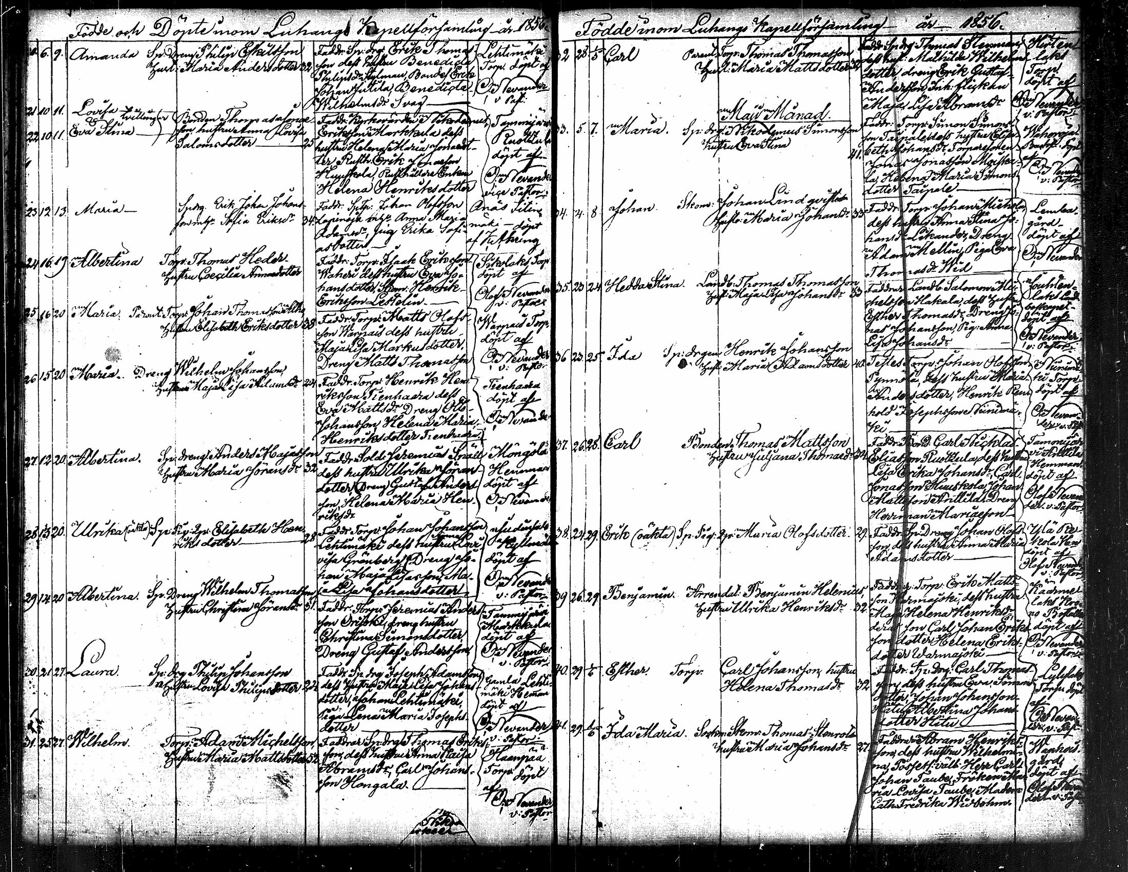 [ kuvat/40.jpg ]