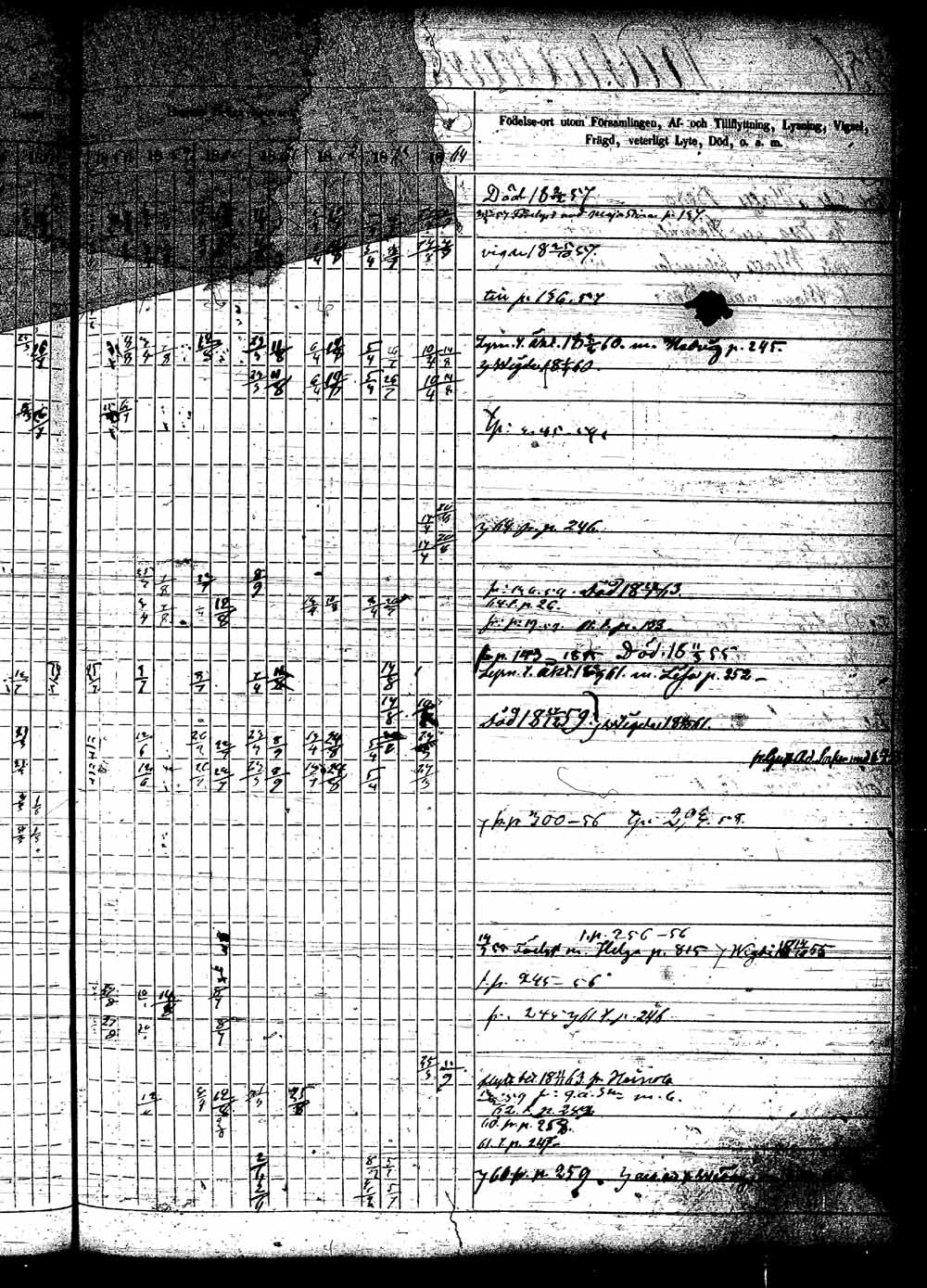 [ kuvat/515.jpg ]