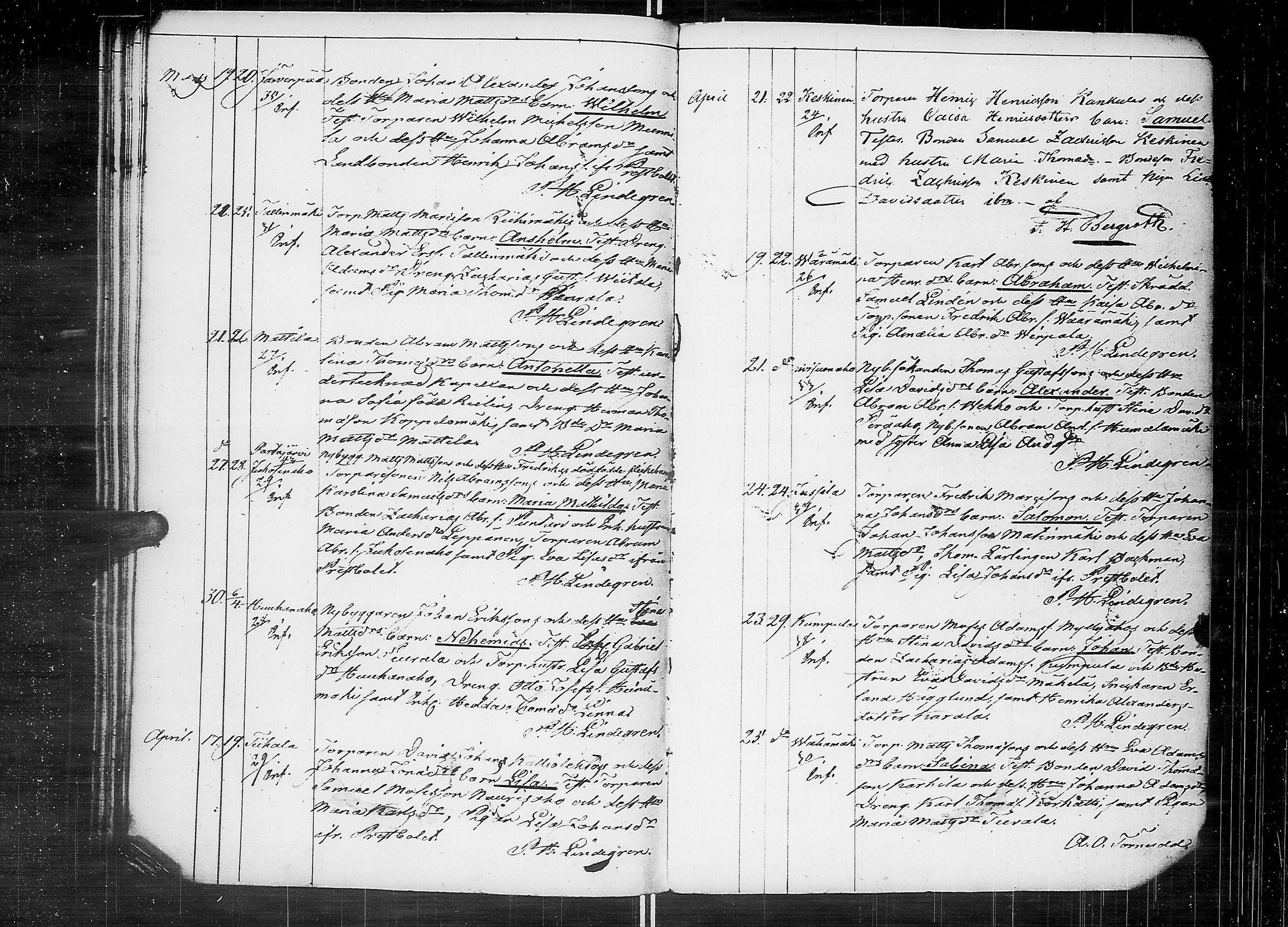 [ kuvat/219.jpg ]
