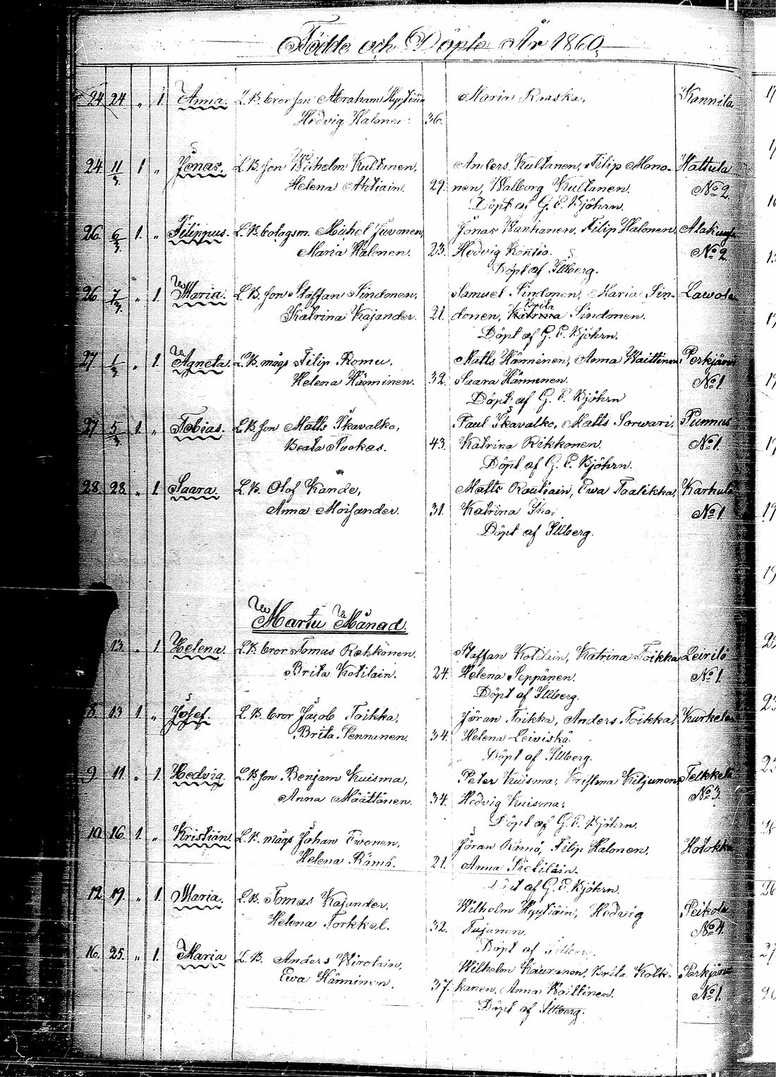 [ kuvat/191.jpg ]