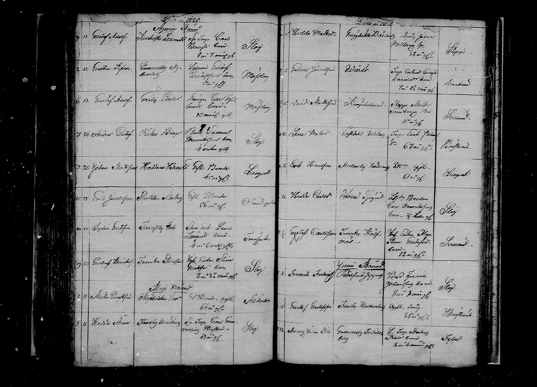 [ kuvat/175.jpg ]