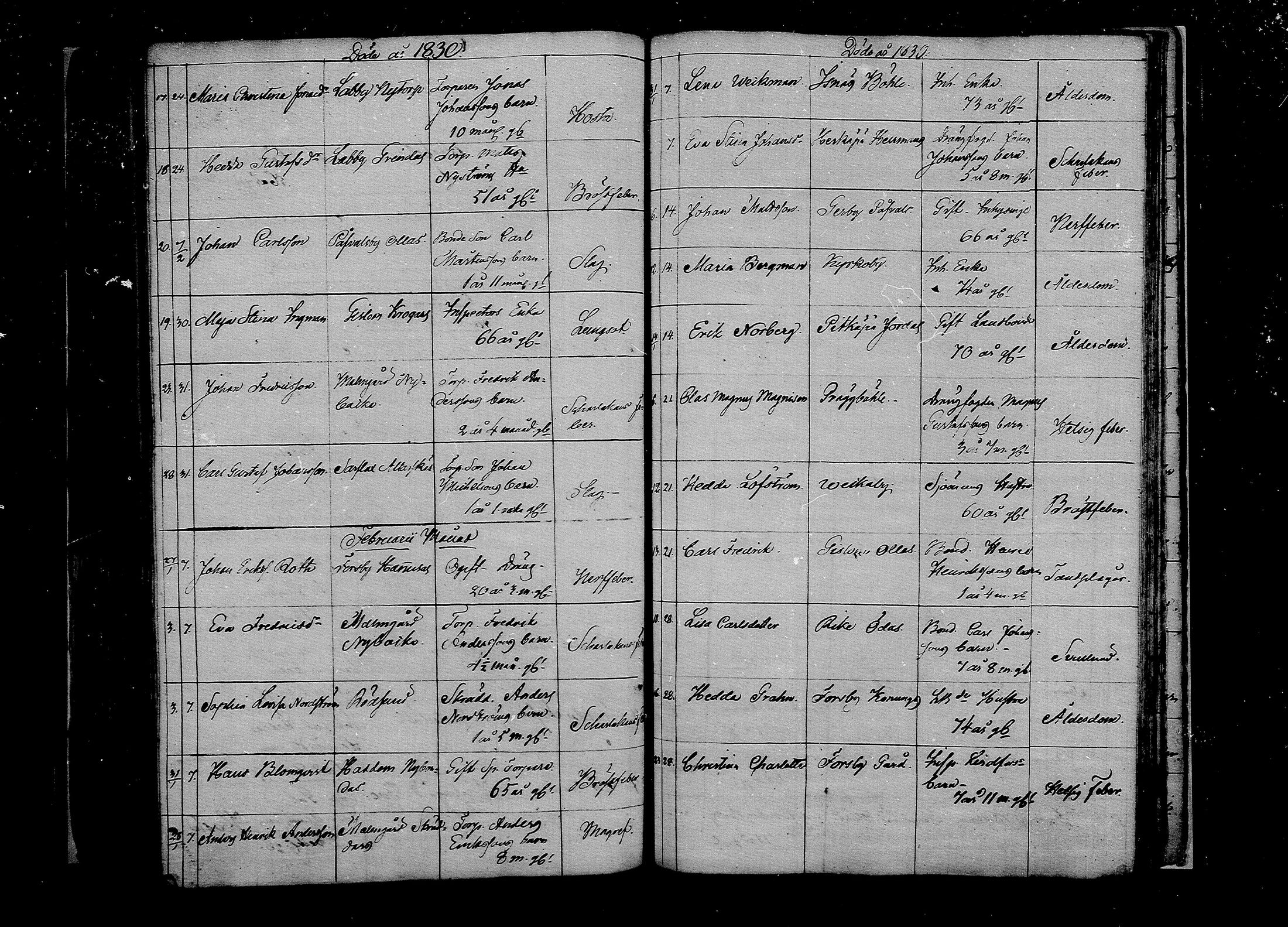 [ kuvat/185.jpg ]