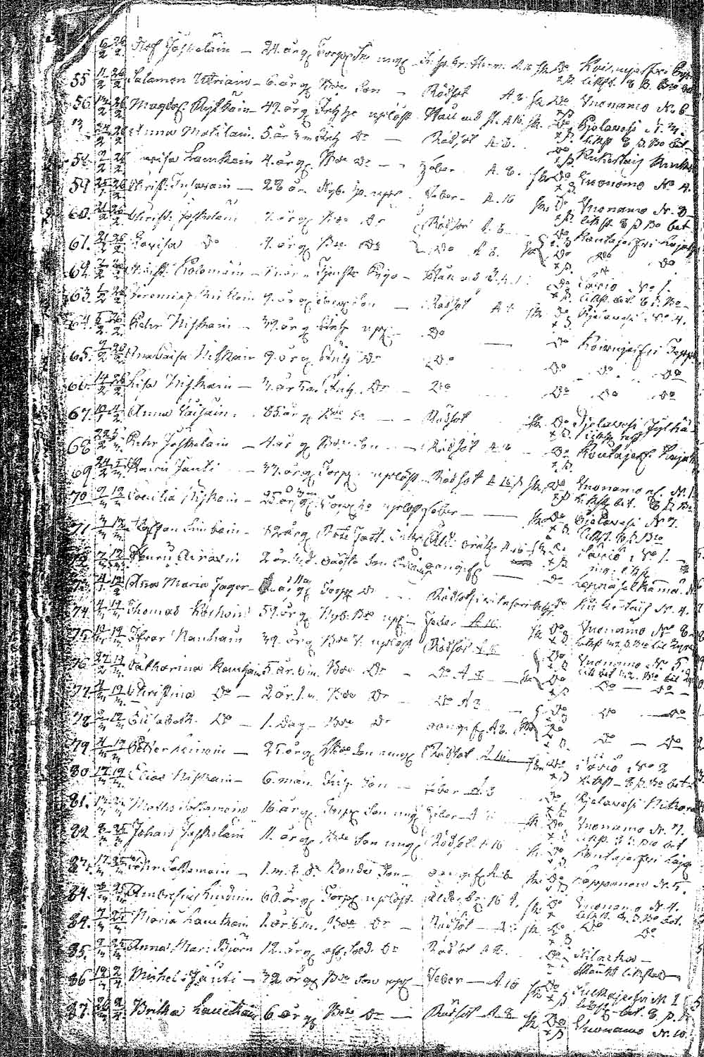 [ kuvat/202.jpg ]