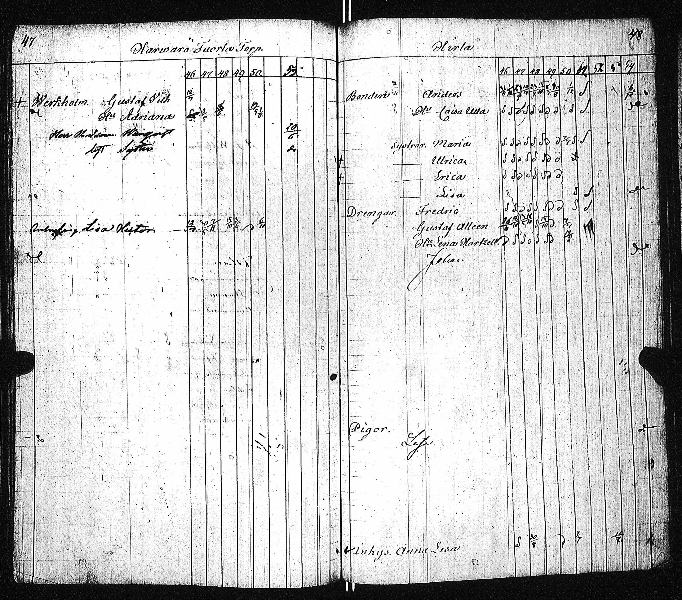 [ kuvat/162.jpg ]