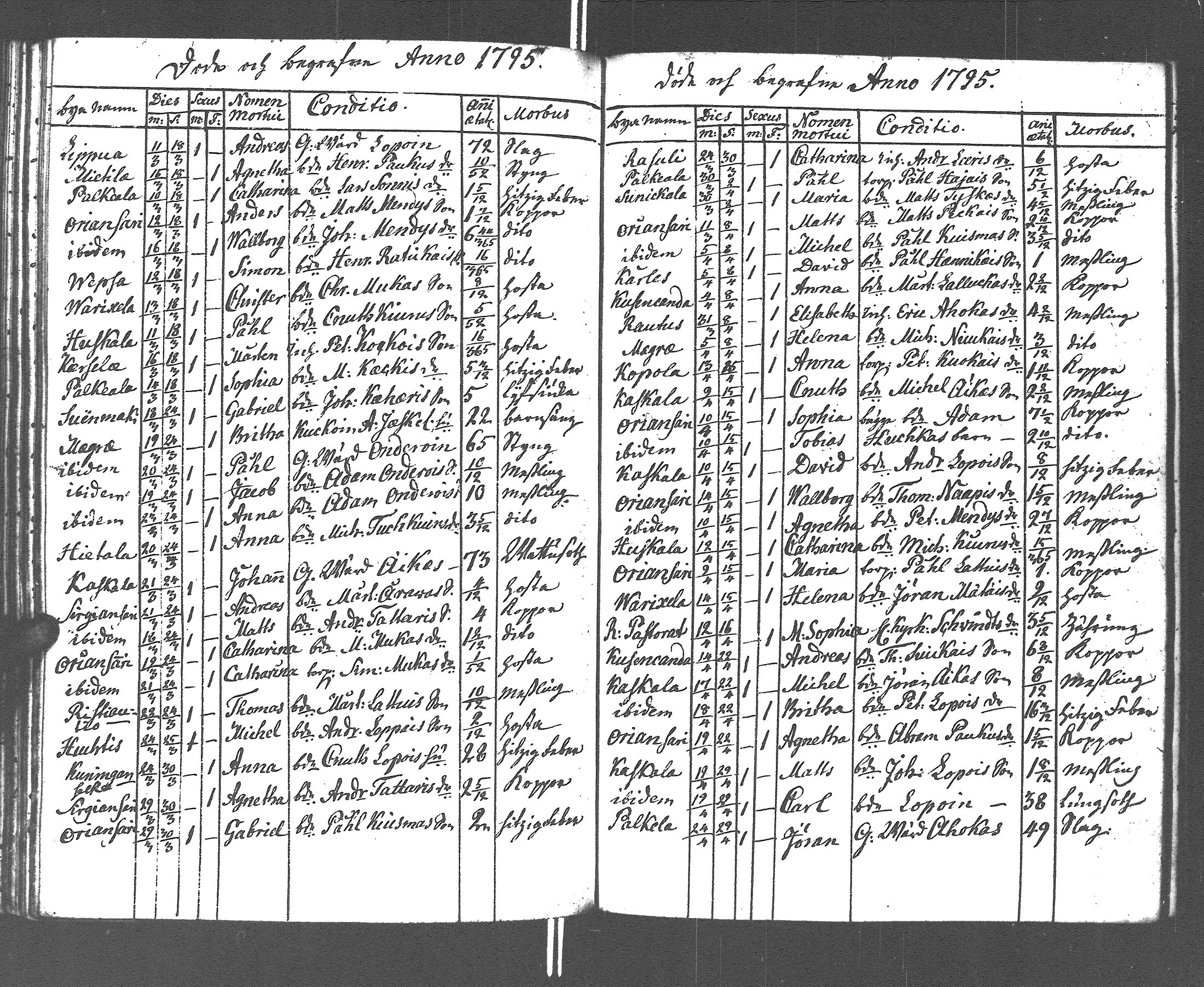 [ kuvat/181.jpg ]