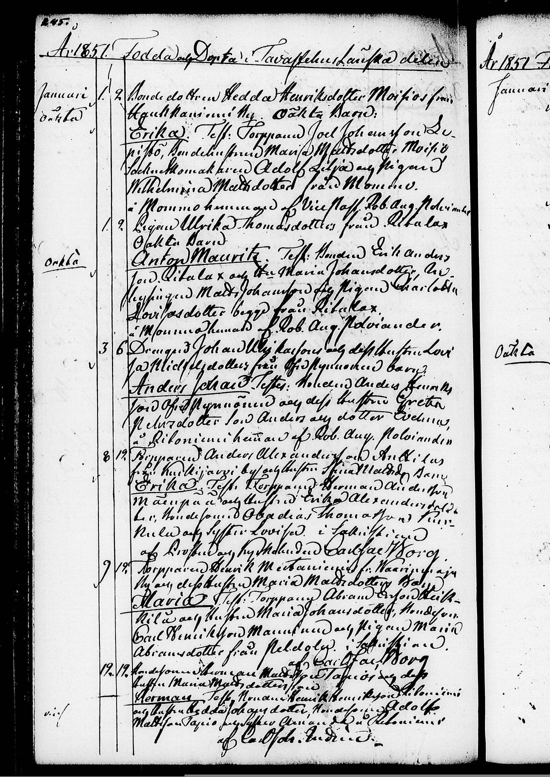 [ kuvat/241.jpg ]