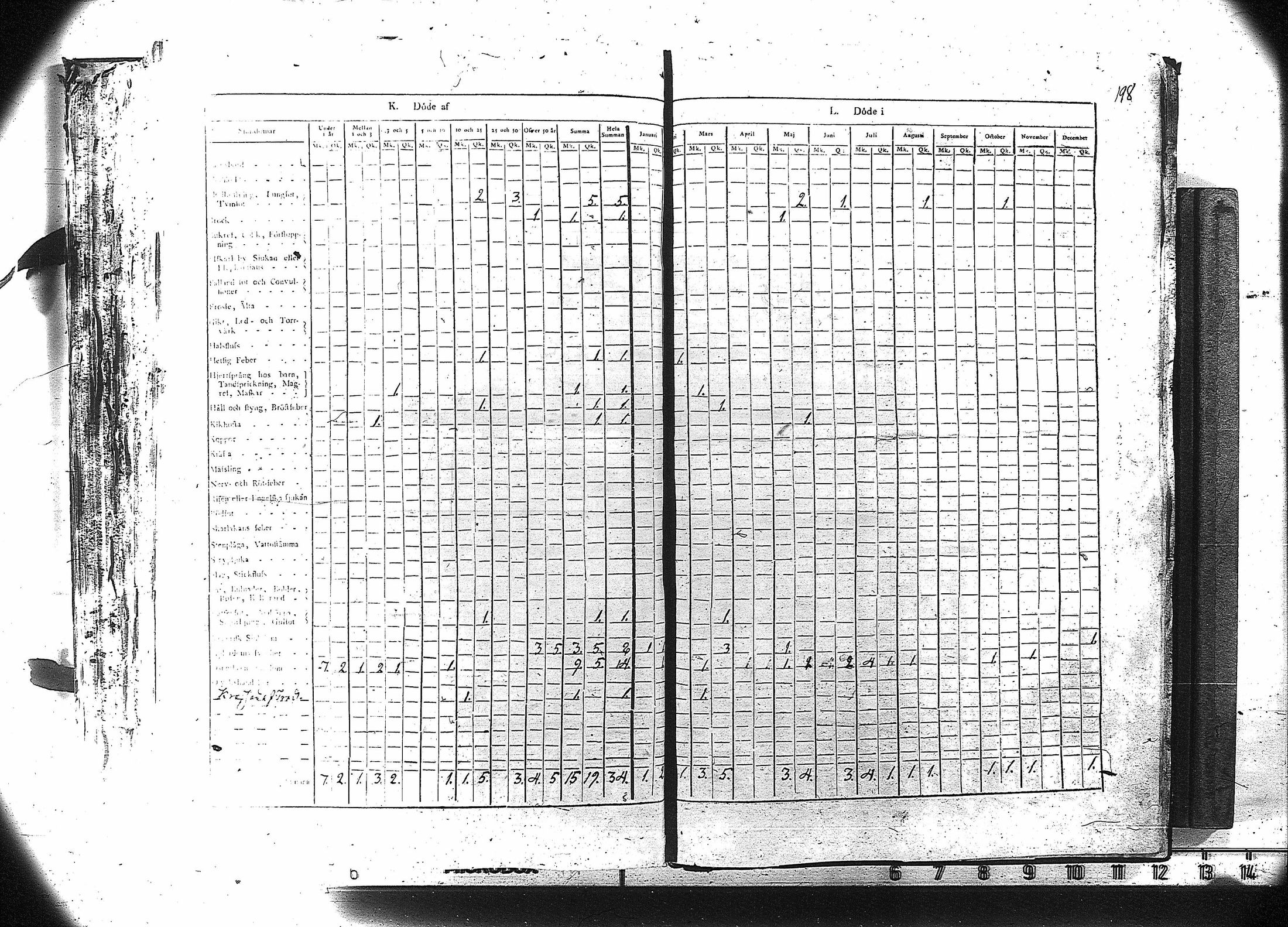 [ kuvat/199.jpg ]