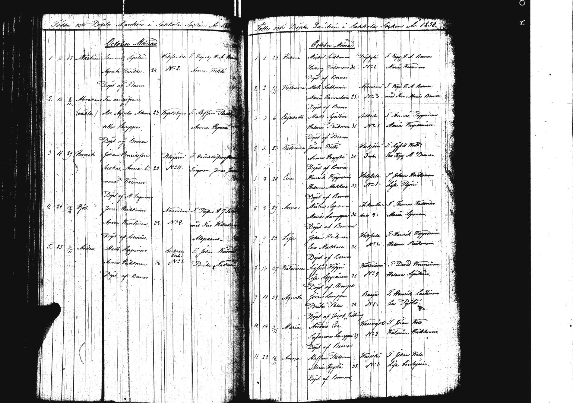 [ kuvat/154.jpg ]