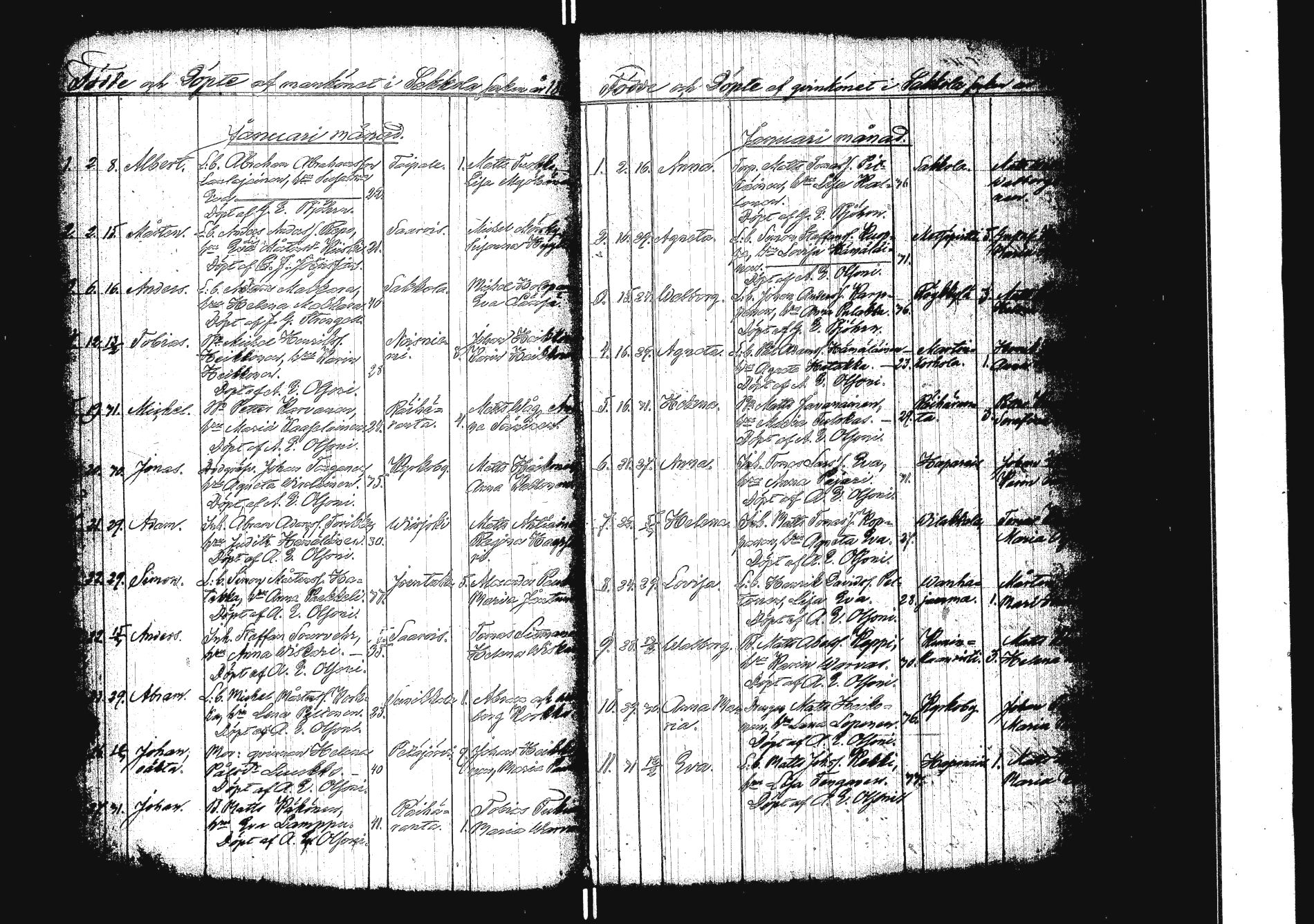 [ kuvat/165.jpg ]