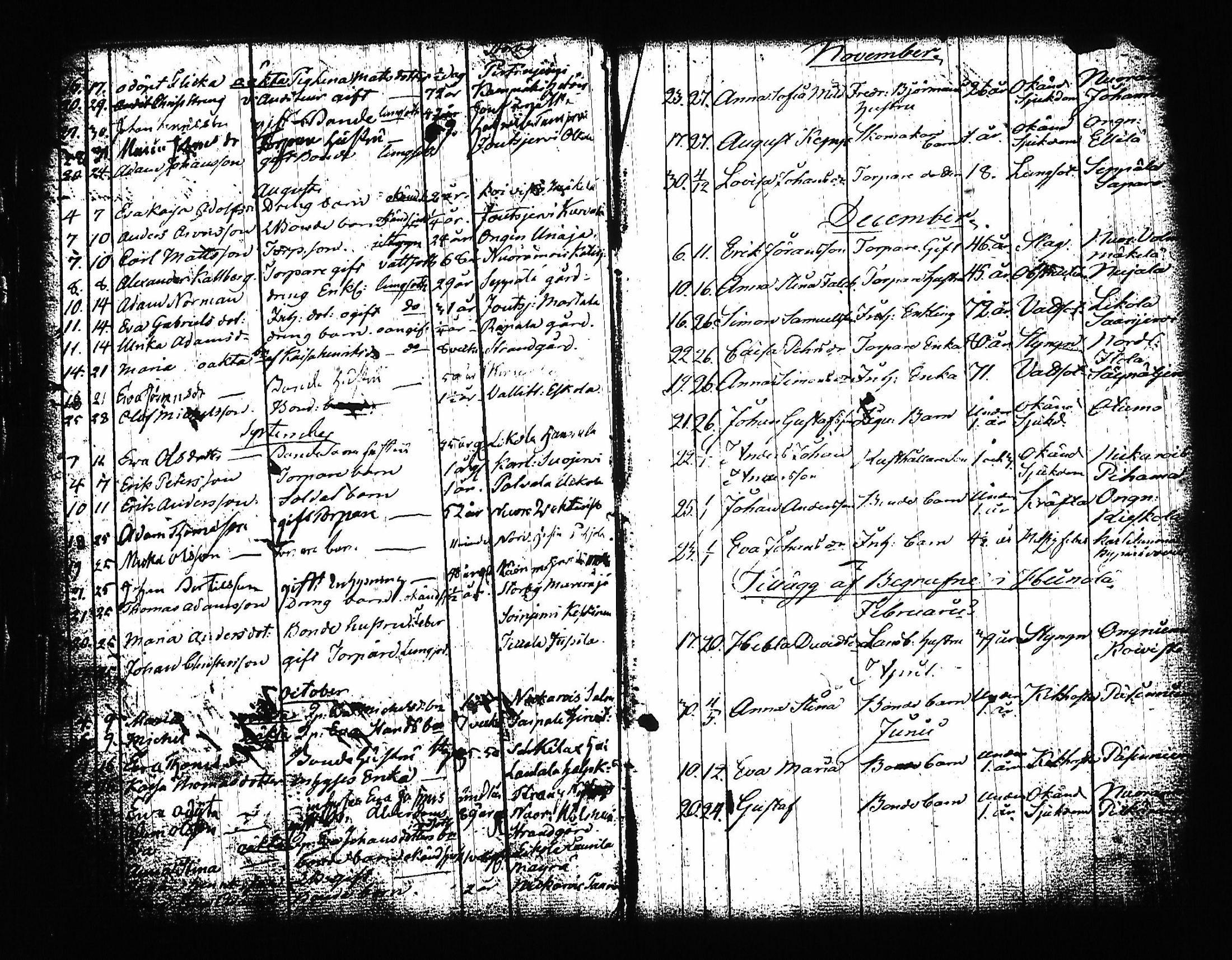 [ kuvat/183.jpg ]