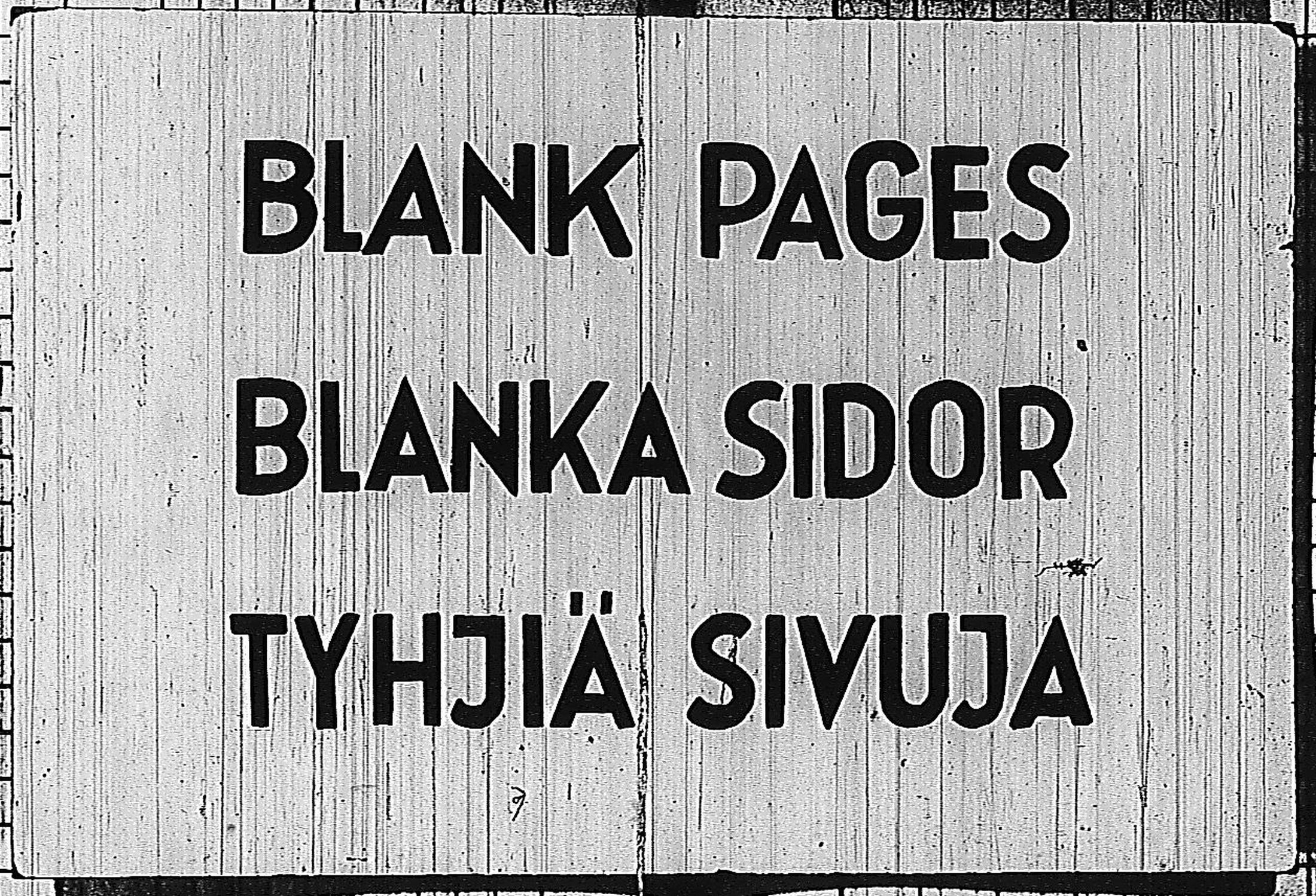 [ kuvat/293.jpg ]
