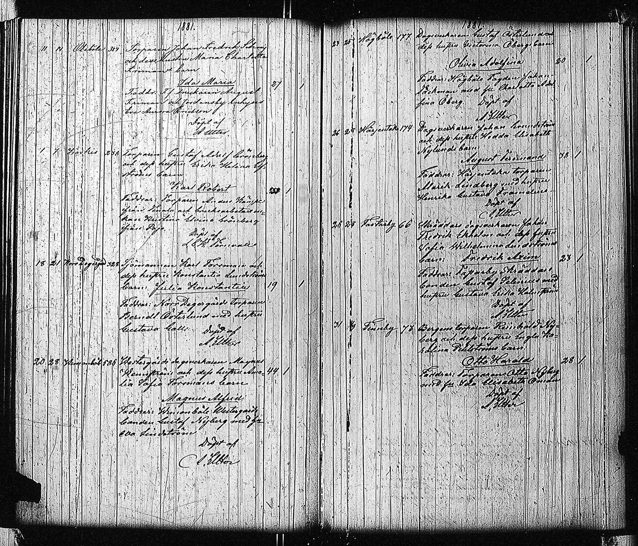 [ kuvat/196.jpg ]