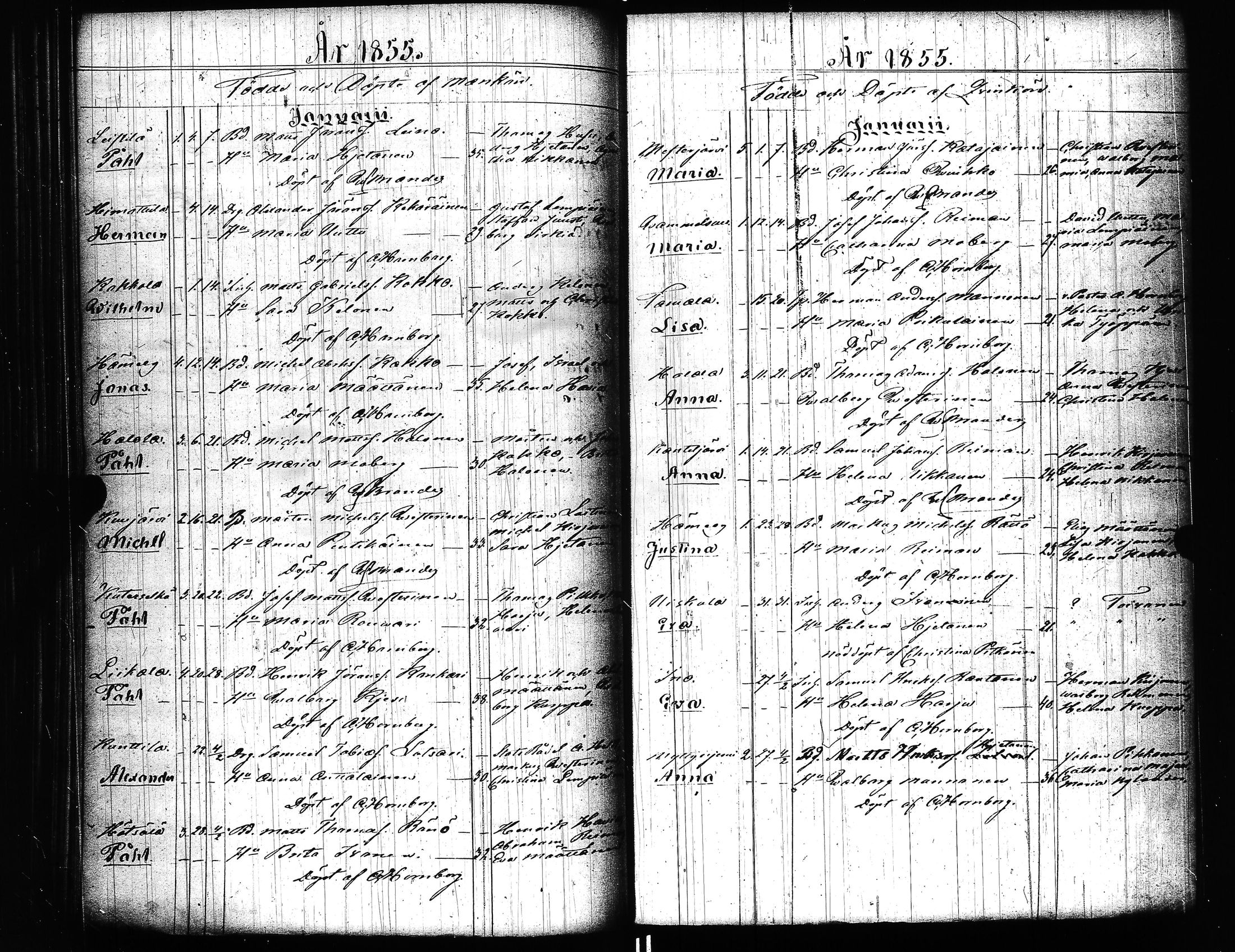 [ kuvat/148.jpg ]
