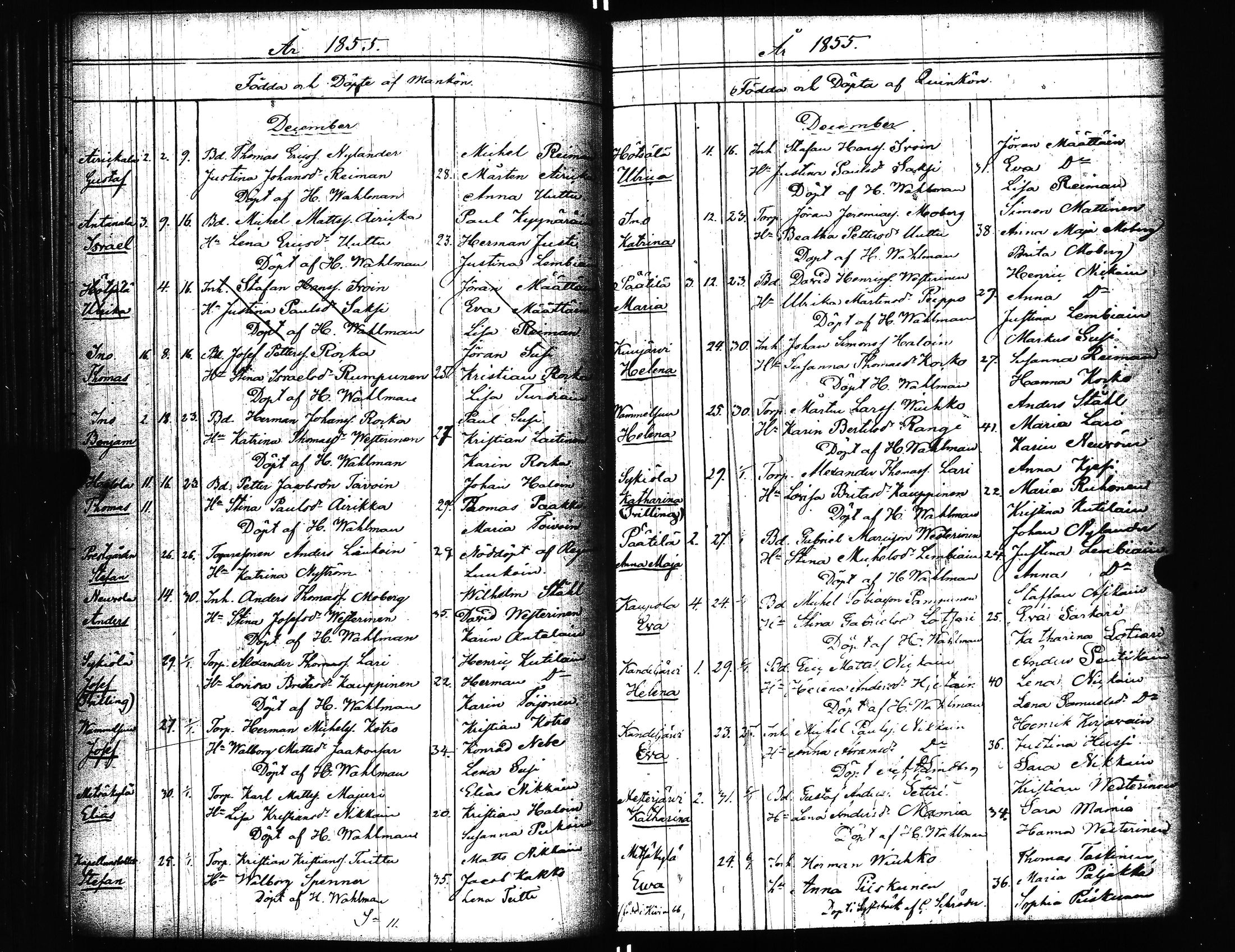 [ kuvat/170.jpg ]
